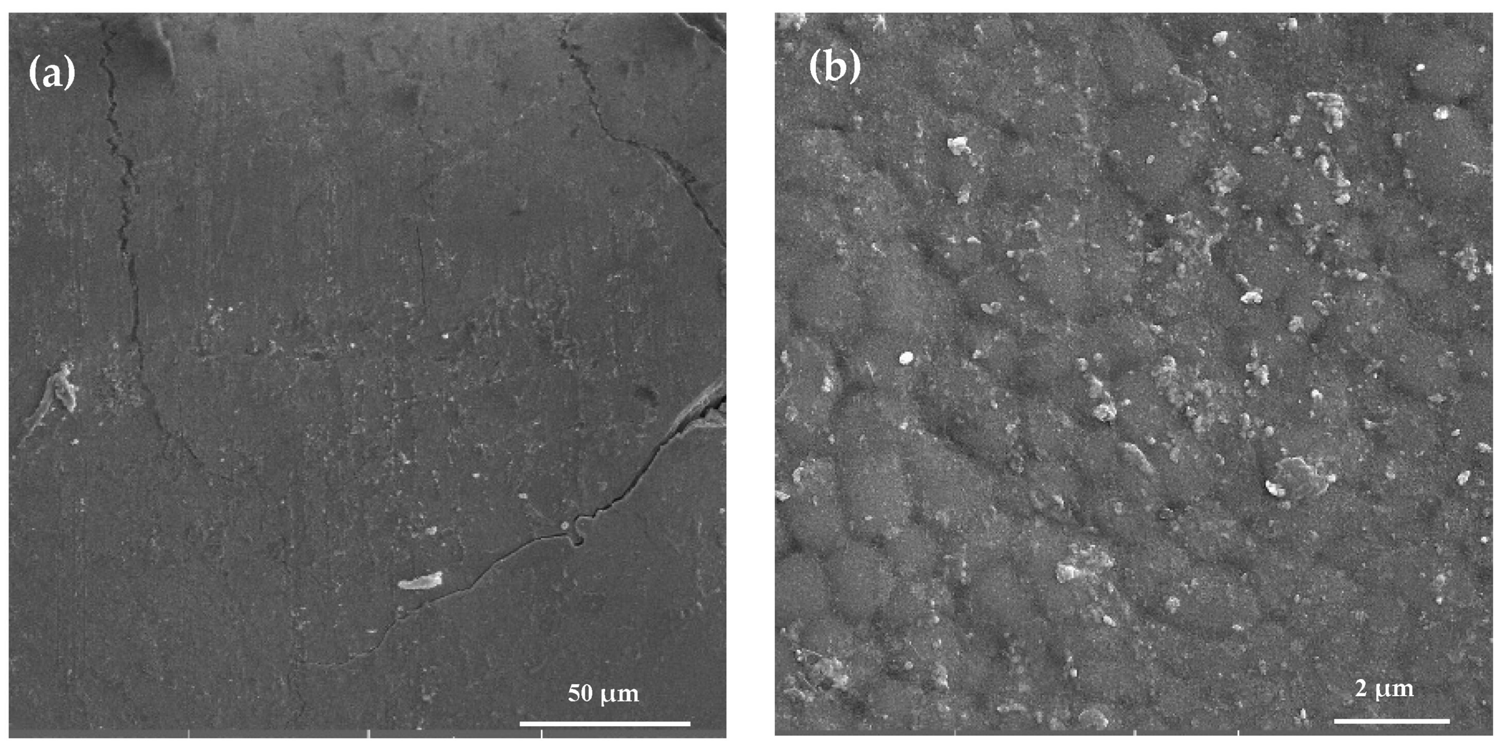 Coatings 13 01695 g006