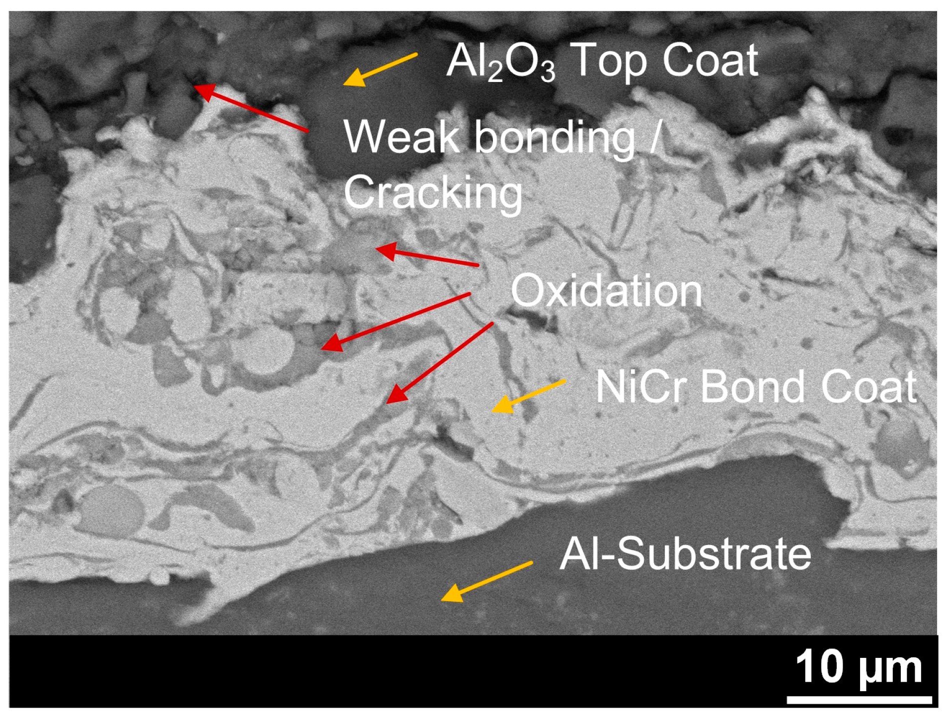 Coatings 13 01701 g001