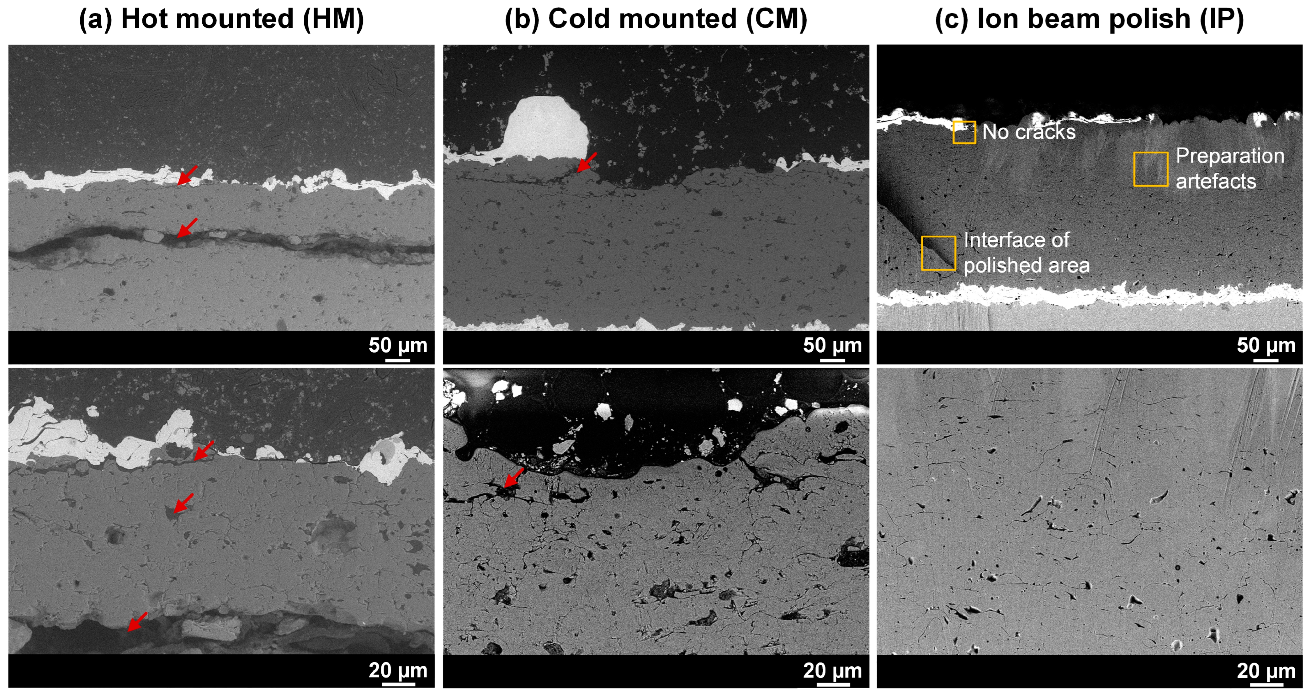 Coatings 13 01701 g012