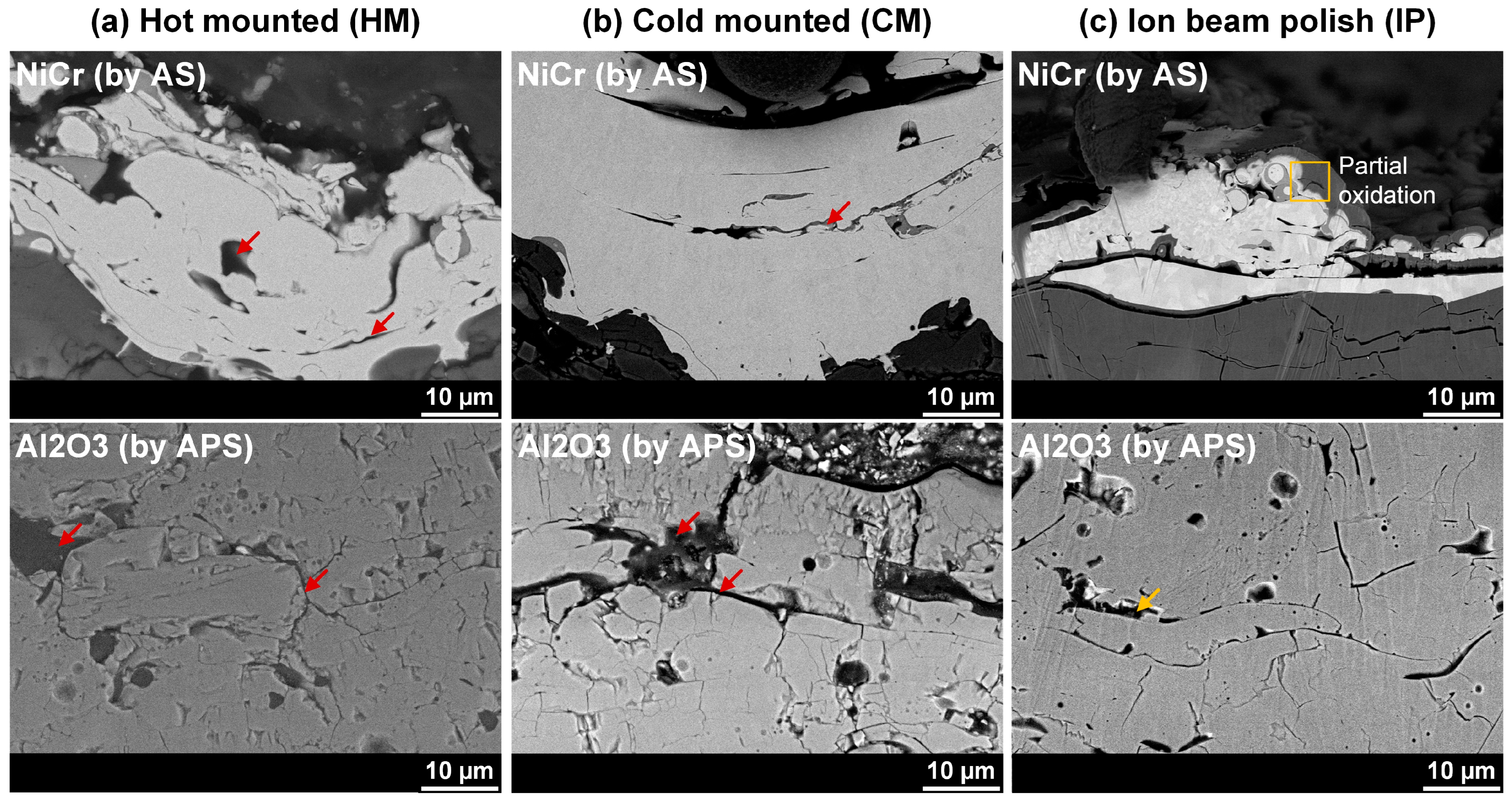 Coatings 13 01701 g013