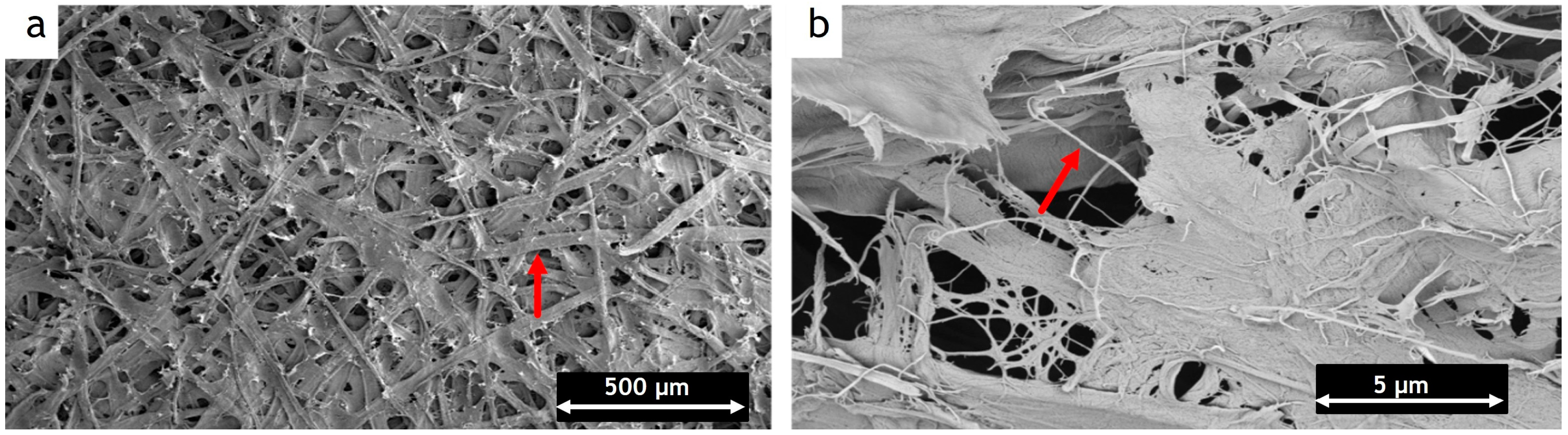 Coatings 13 01705 g001 Coatings 13 01705 g001