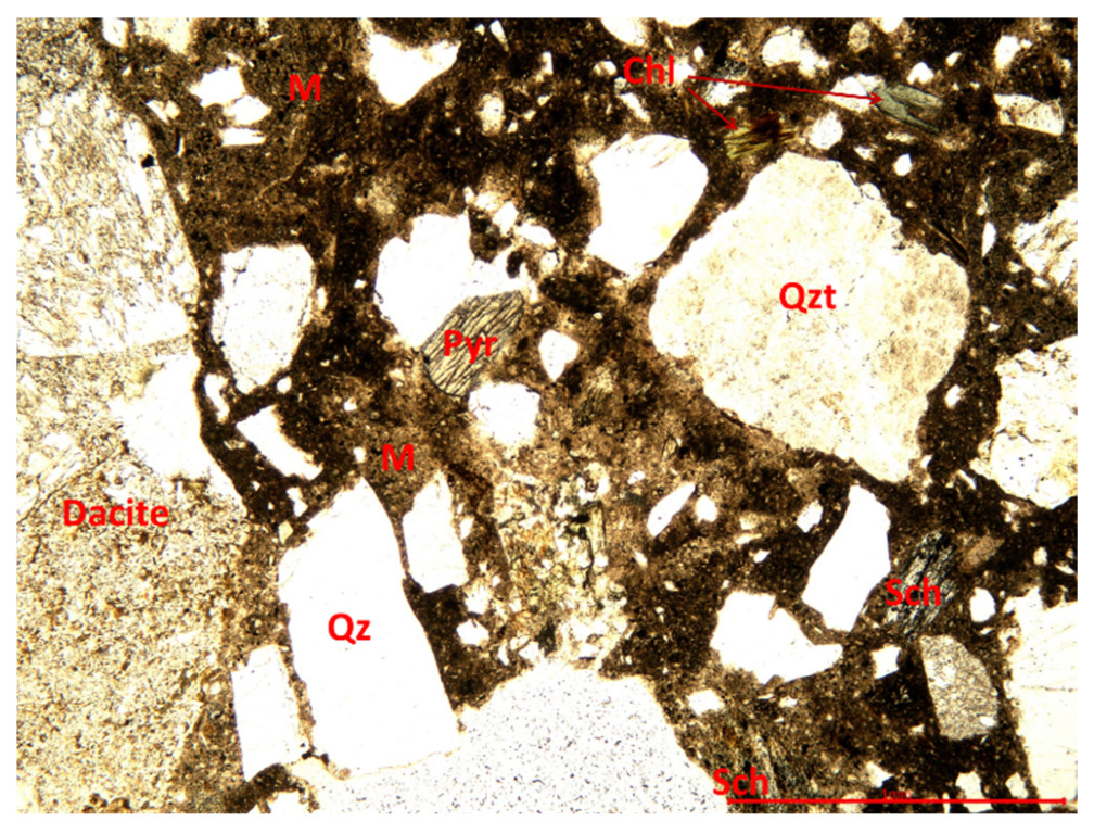 Coatings 13 01710 g011 Coatings 13 01710 g011