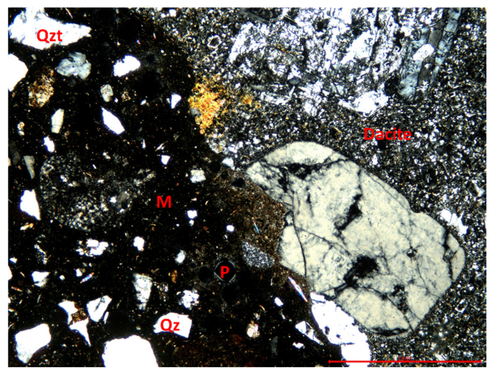 Coatings 13 01710 g014 Coatings 13 01710 g014