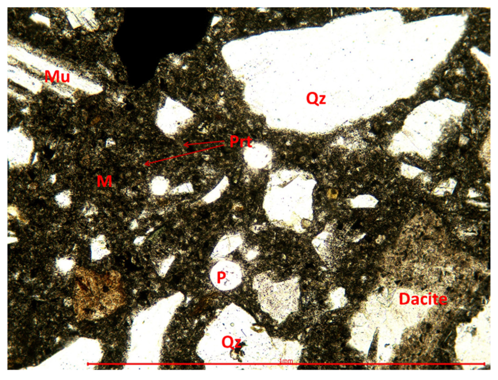 Coatings 13 01710 g017 Coatings 13 01710 g017