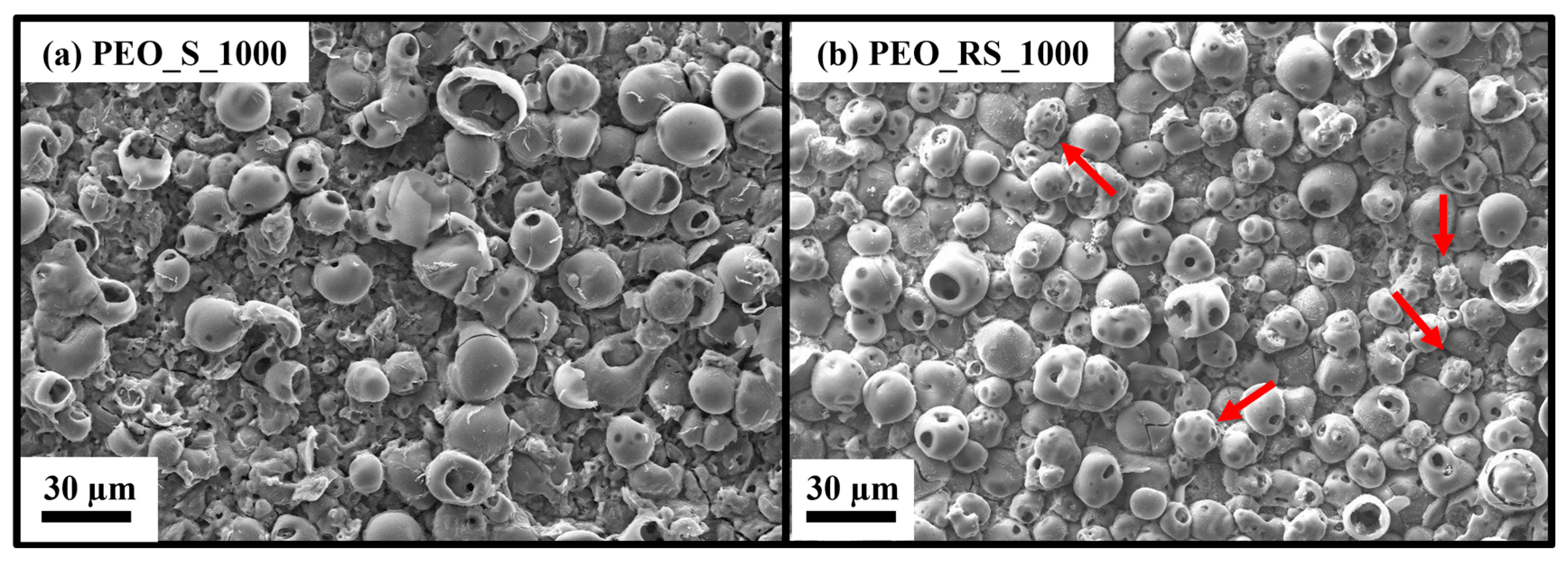 Coatings 13 01718 g003 Coatings 13 01718 g003