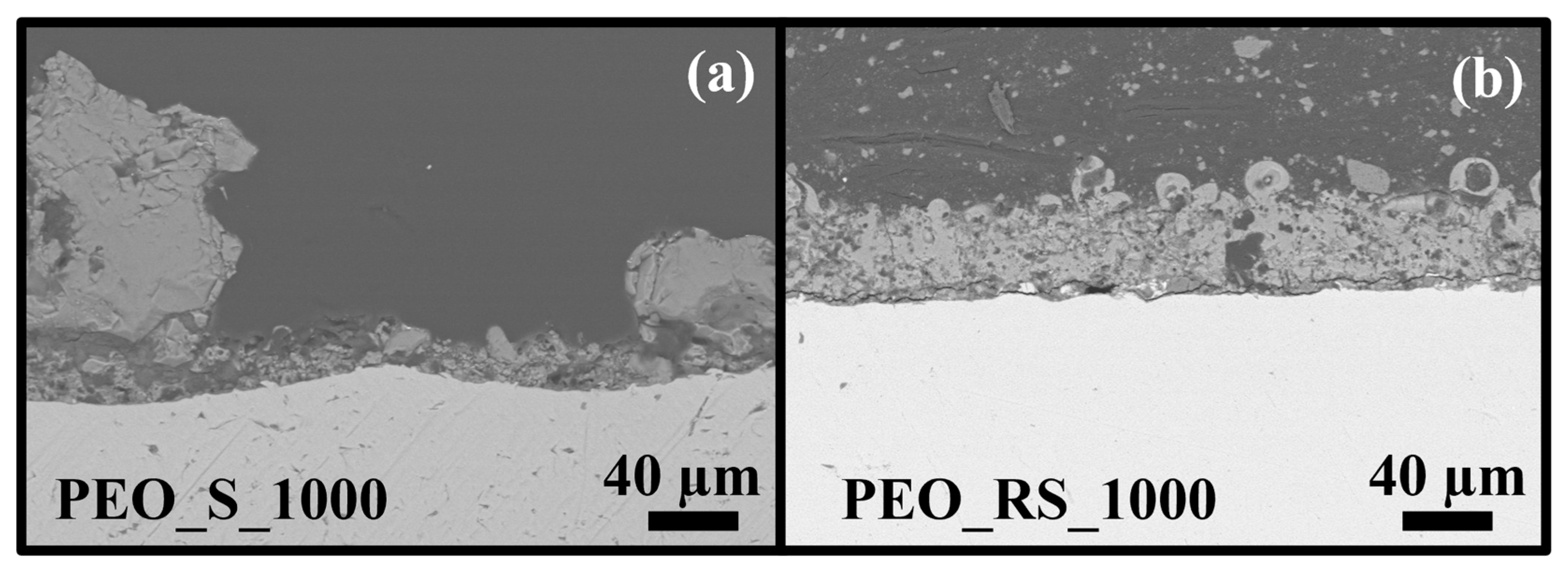 Coatings 13 01718 g004 Coatings 13 01718 g004