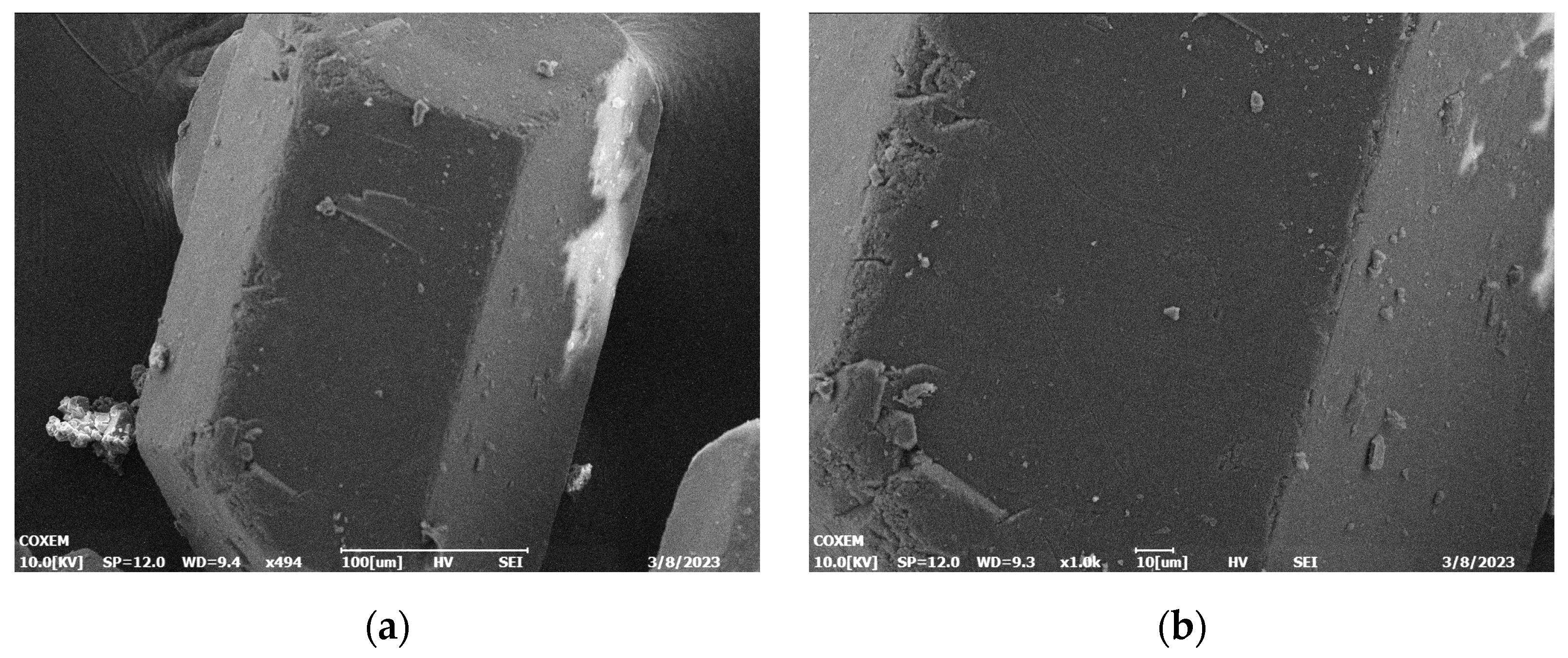 Coatings 13 01721 g005