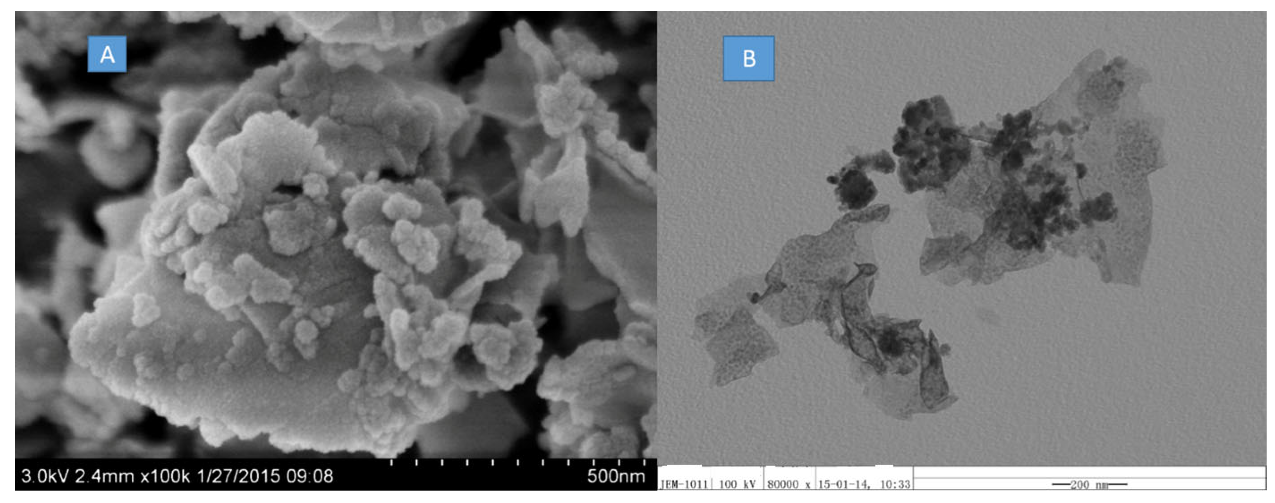 Coatings 13 01727 g001