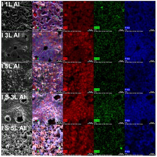 Coatings 13 01731 g005