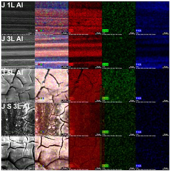 Coatings 13 01731 g009