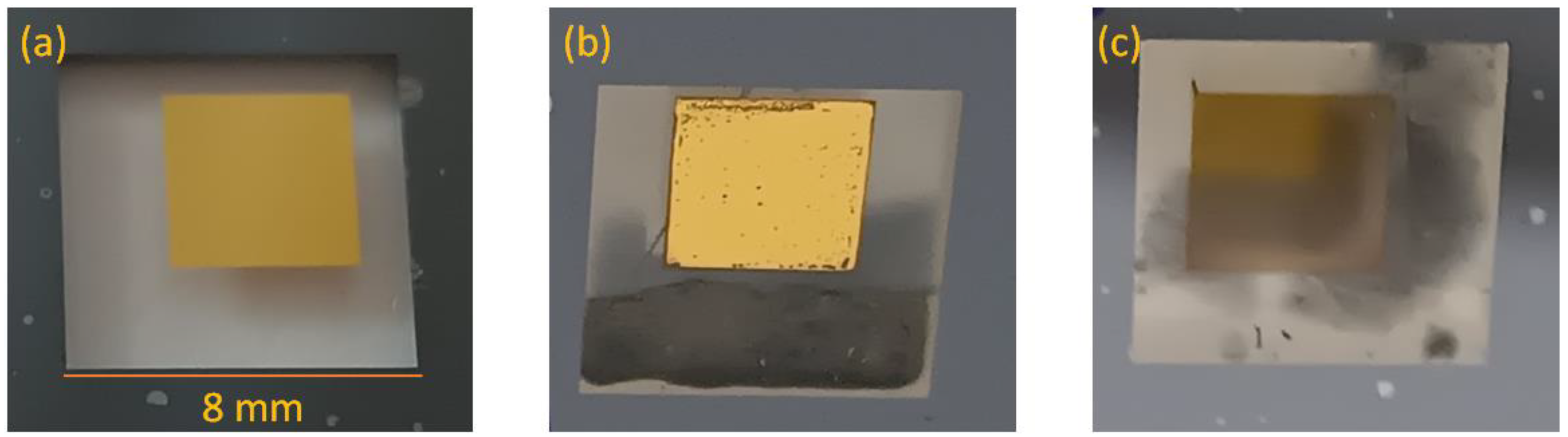 Coatings 13 01733 g003