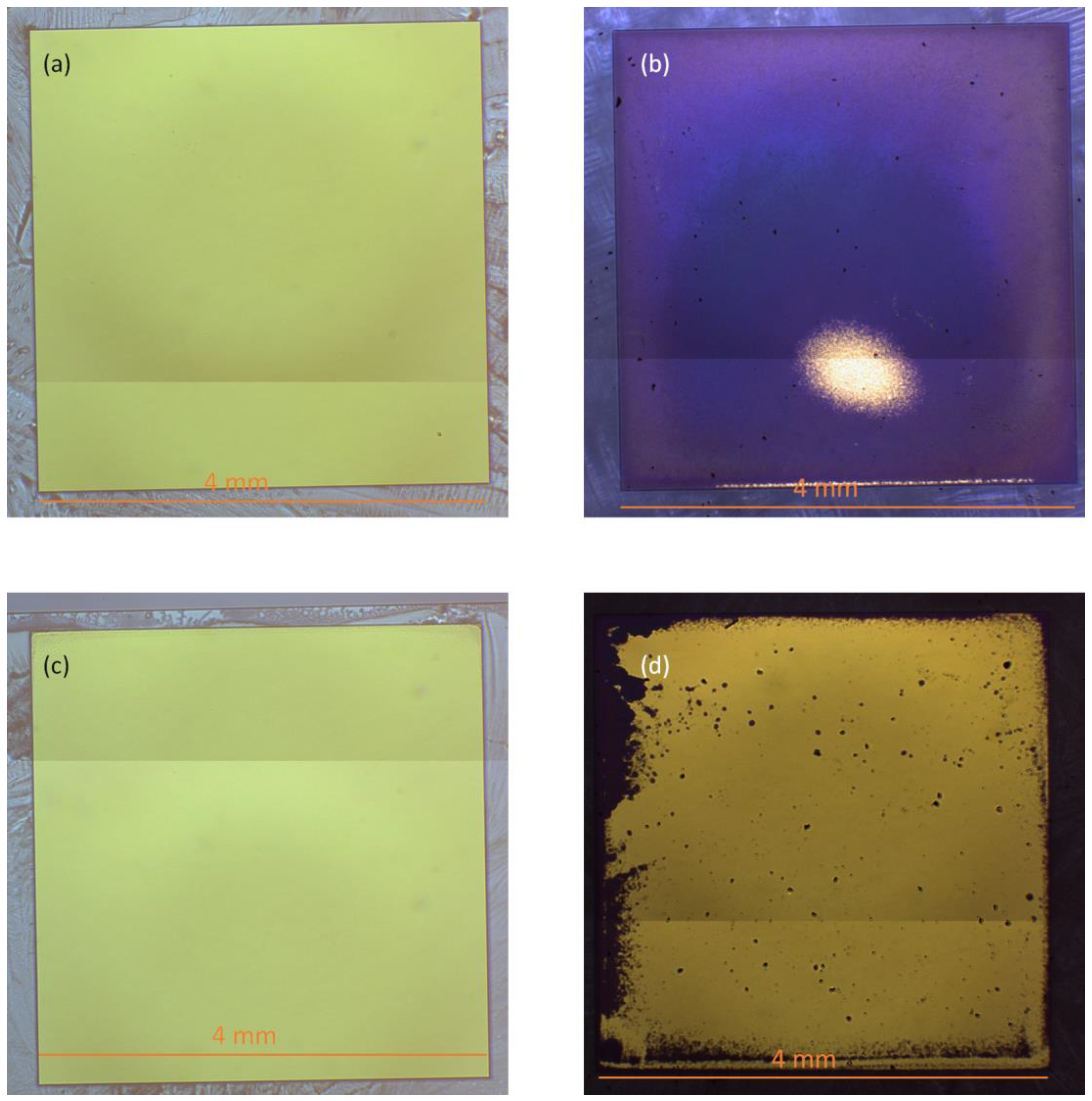 Coatings 13 01733 g005