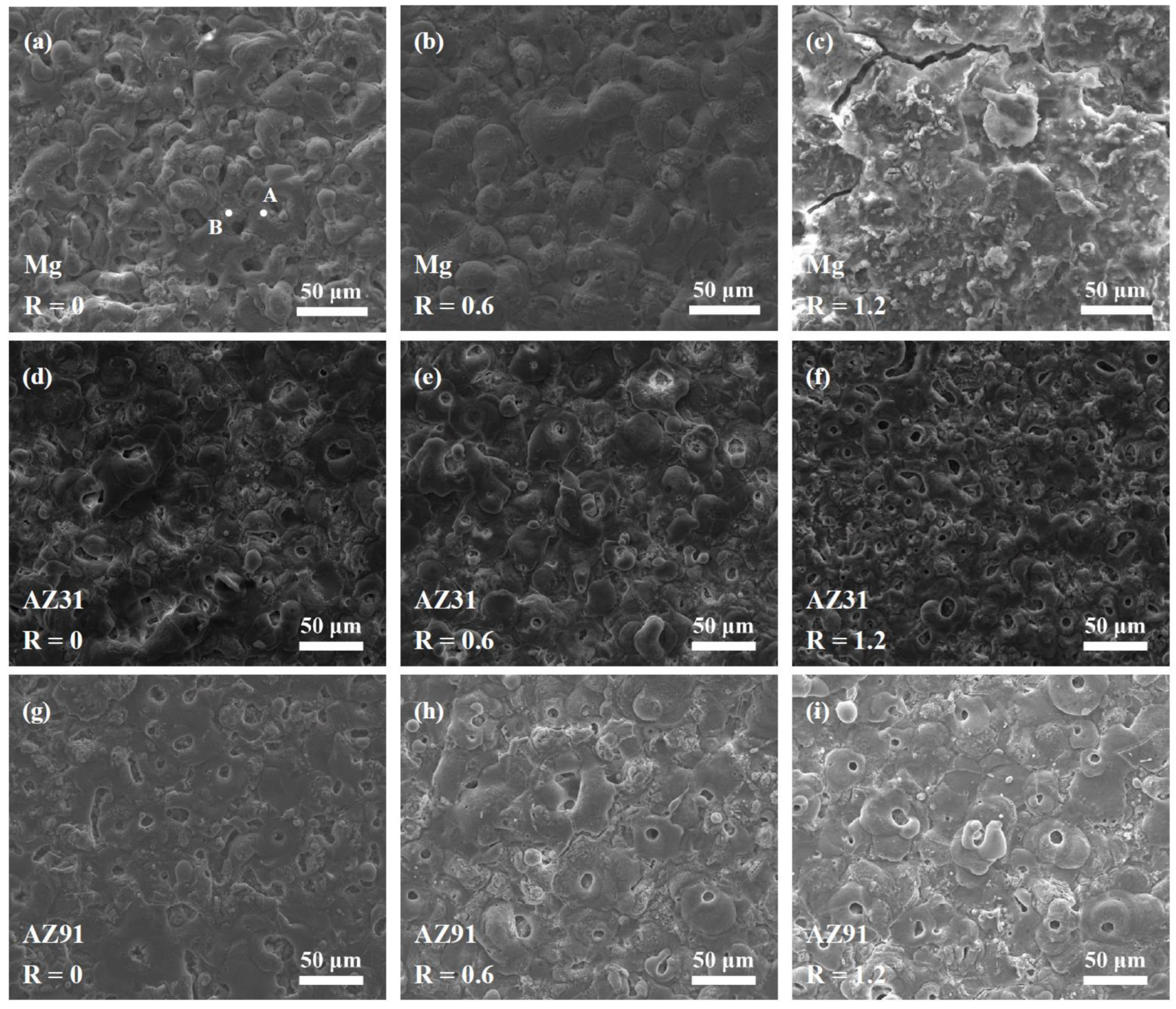 Coatings 13 01736 g006