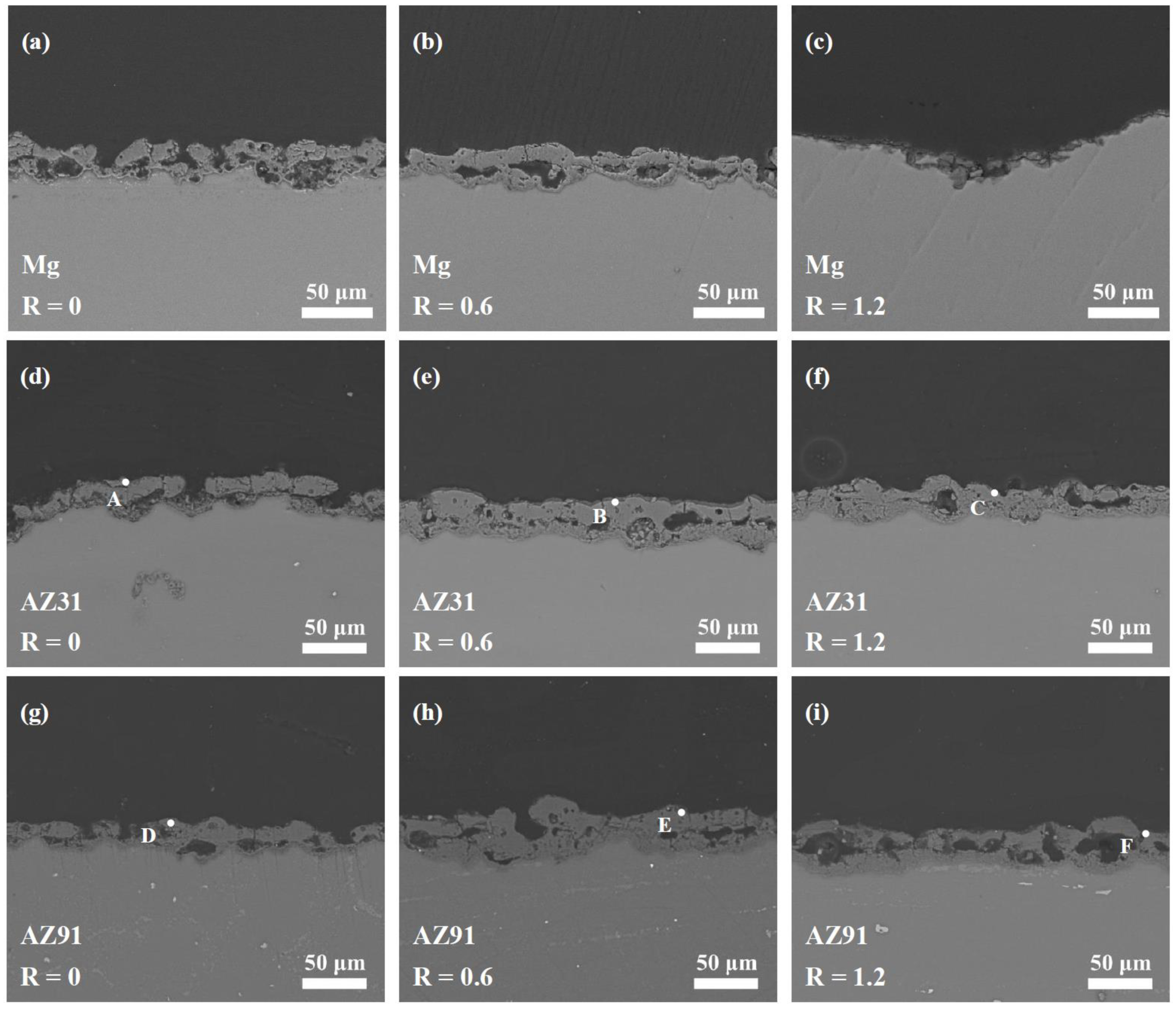 Coatings 13 01736 g007