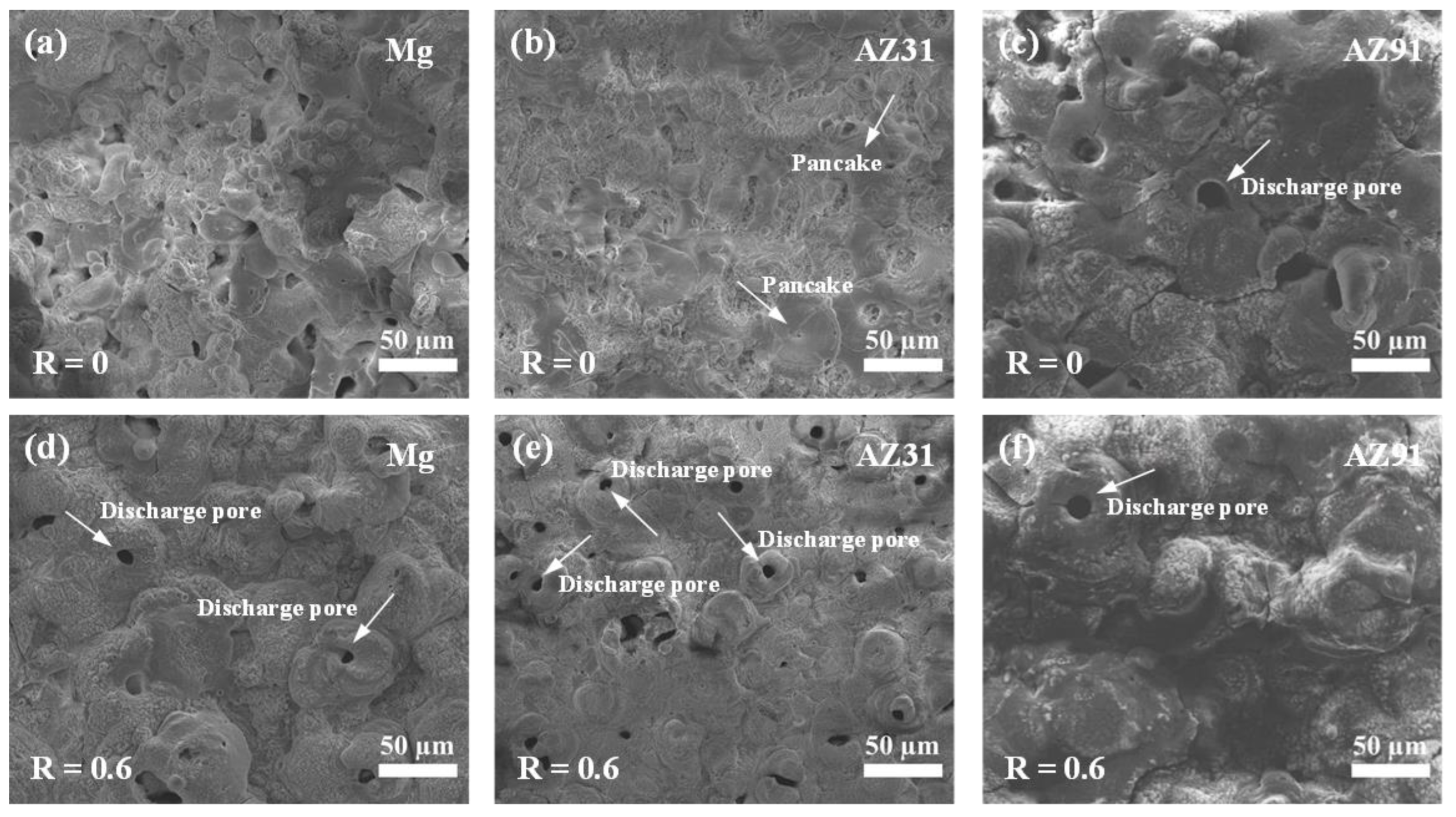 Coatings 13 01736 g008