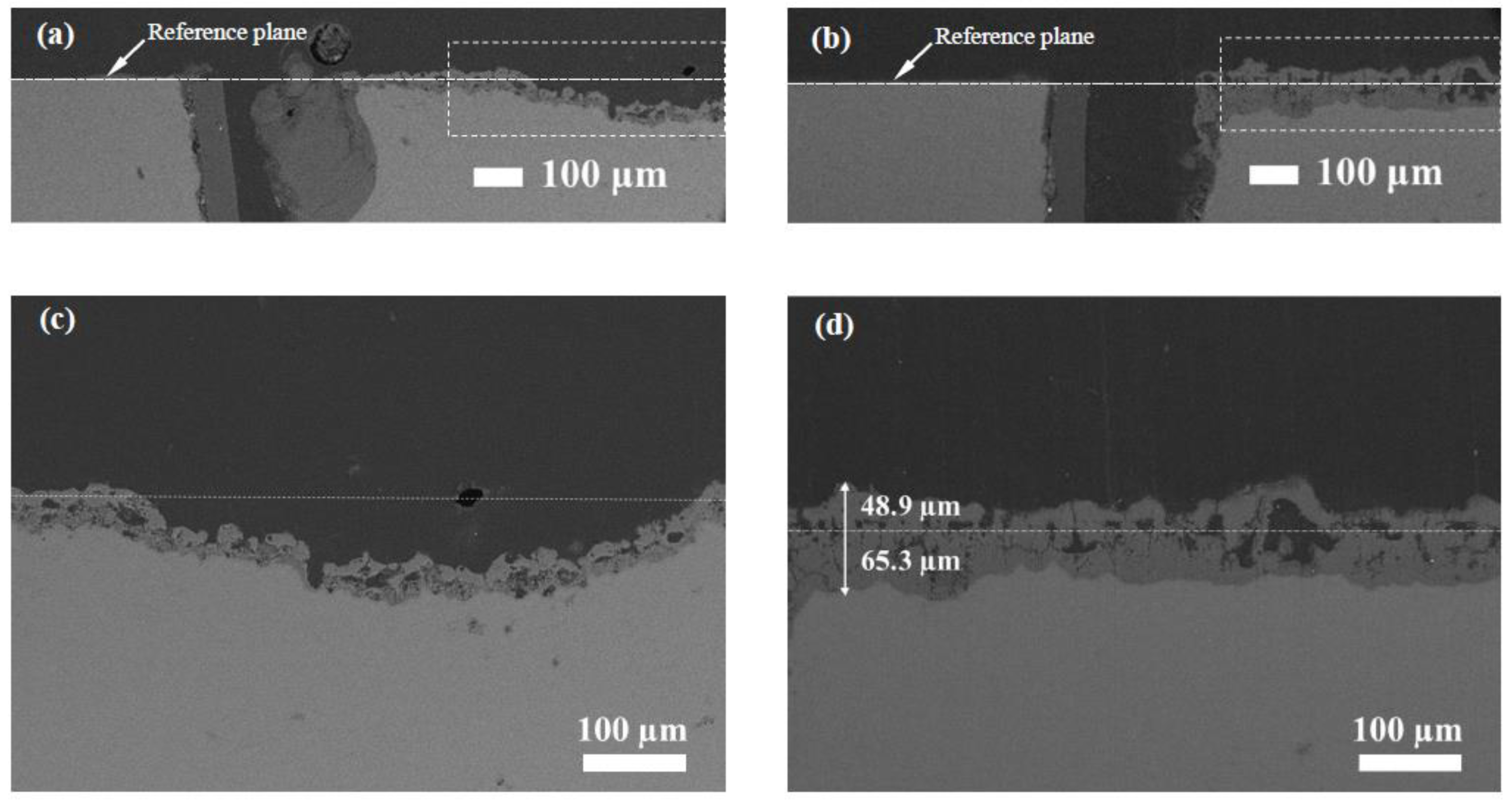 Coatings 13 01736 g012