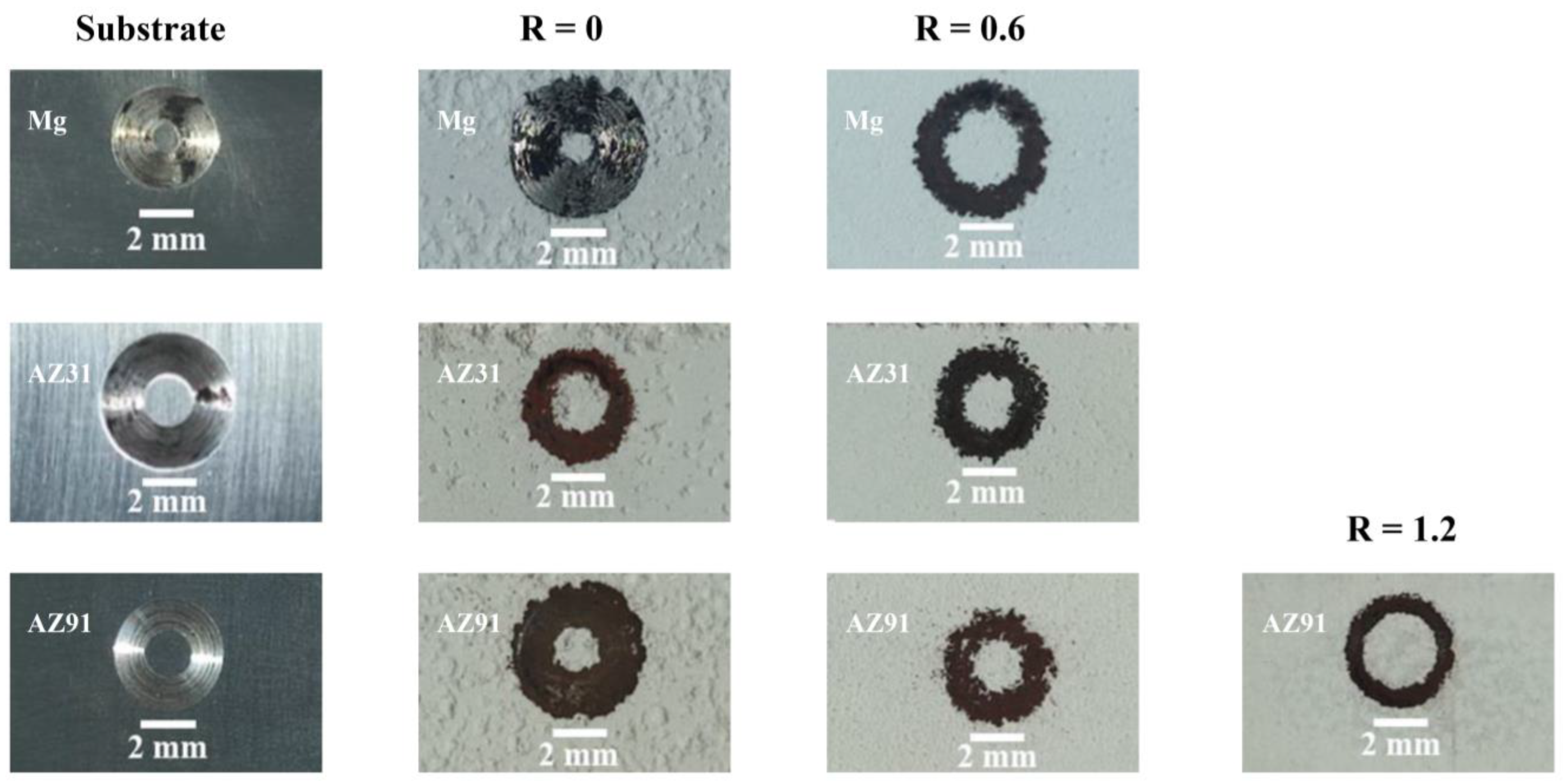 Coatings 13 01736 g016