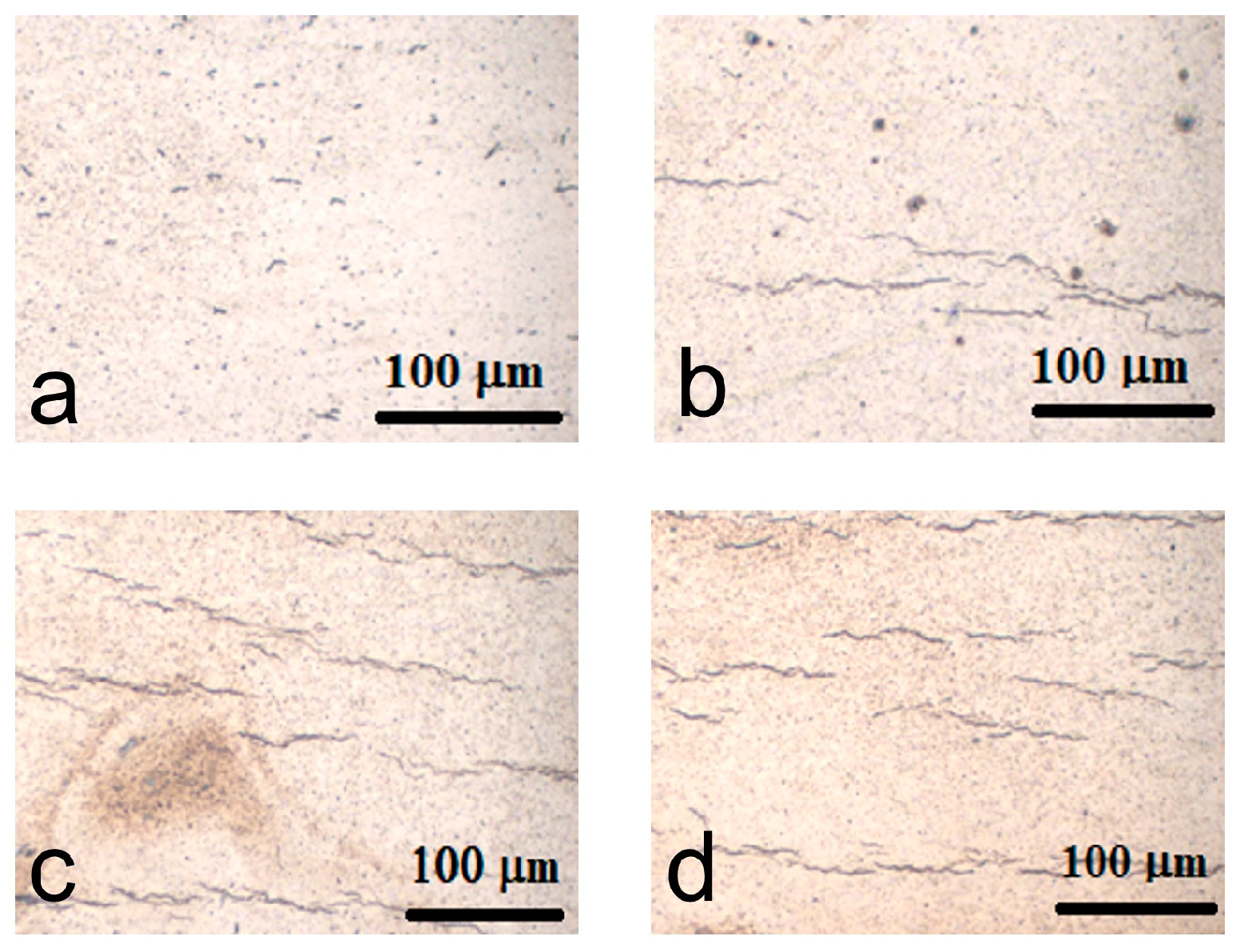 Coatings 13 01739 g003