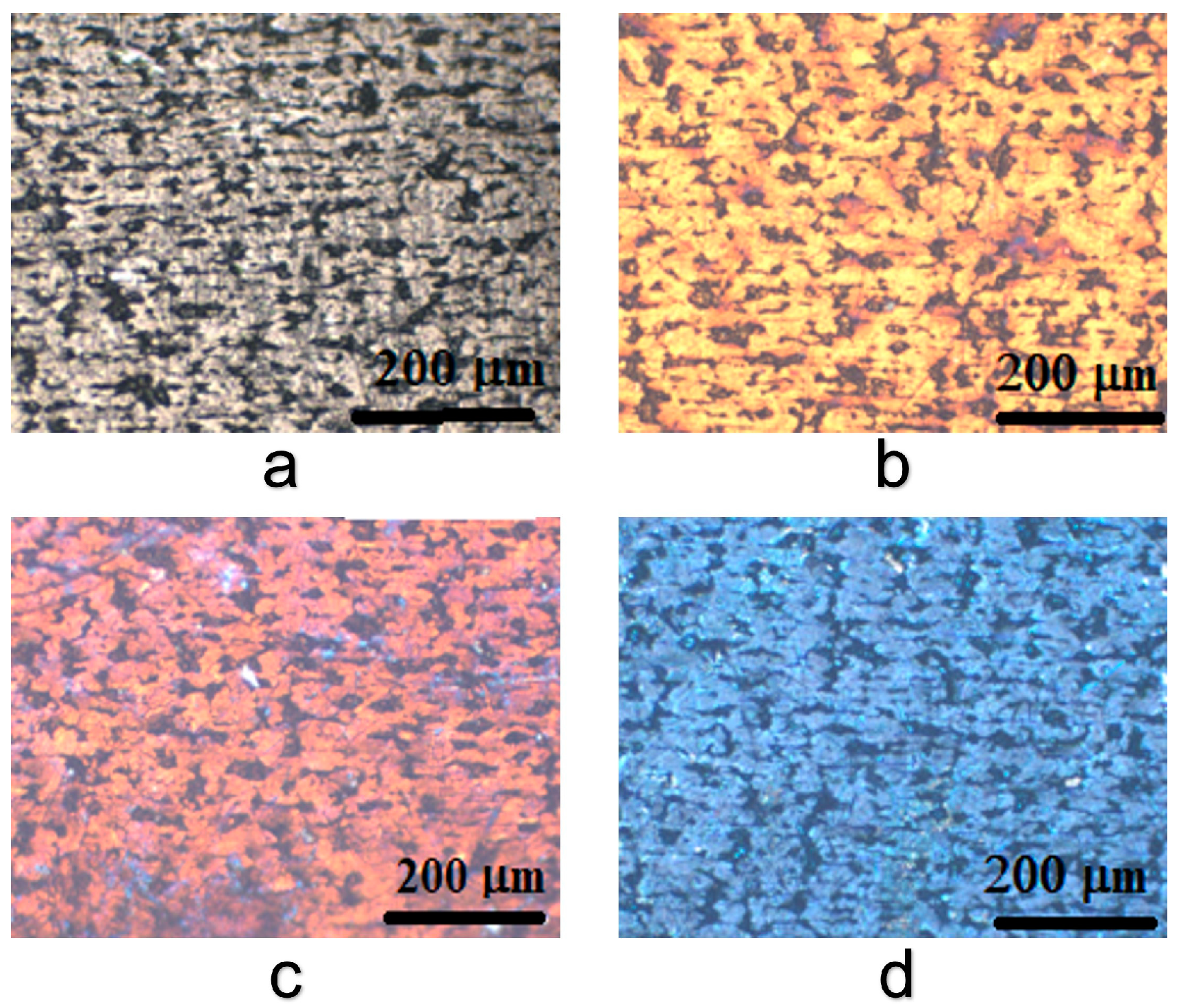 Coatings 13 01739 g004