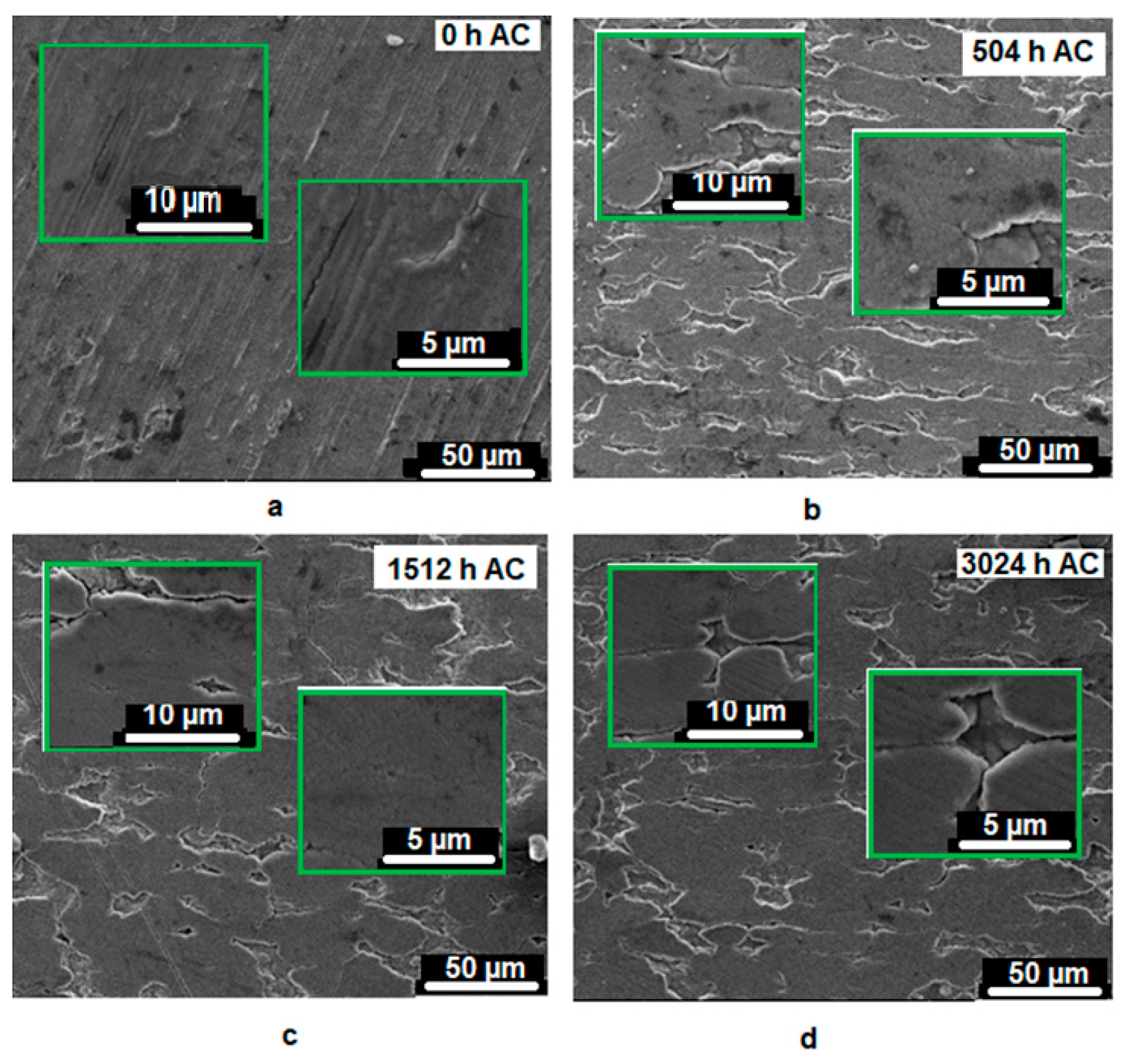 Coatings 13 01739 g006