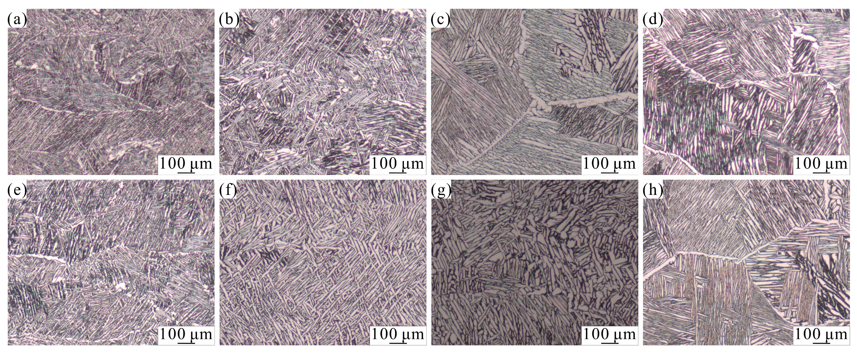Coatings 13 01742 g004