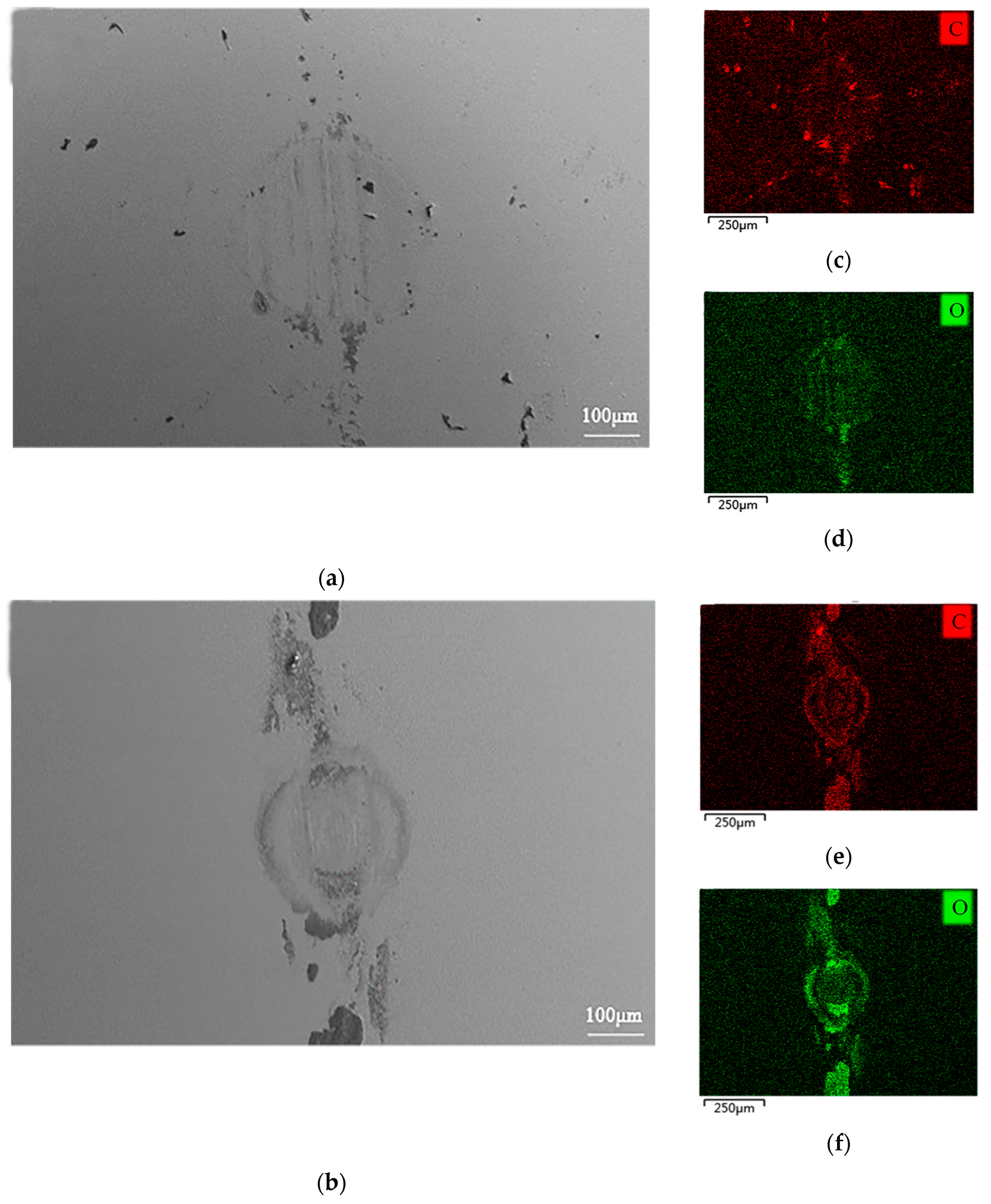 Coatings 13 01743 g009