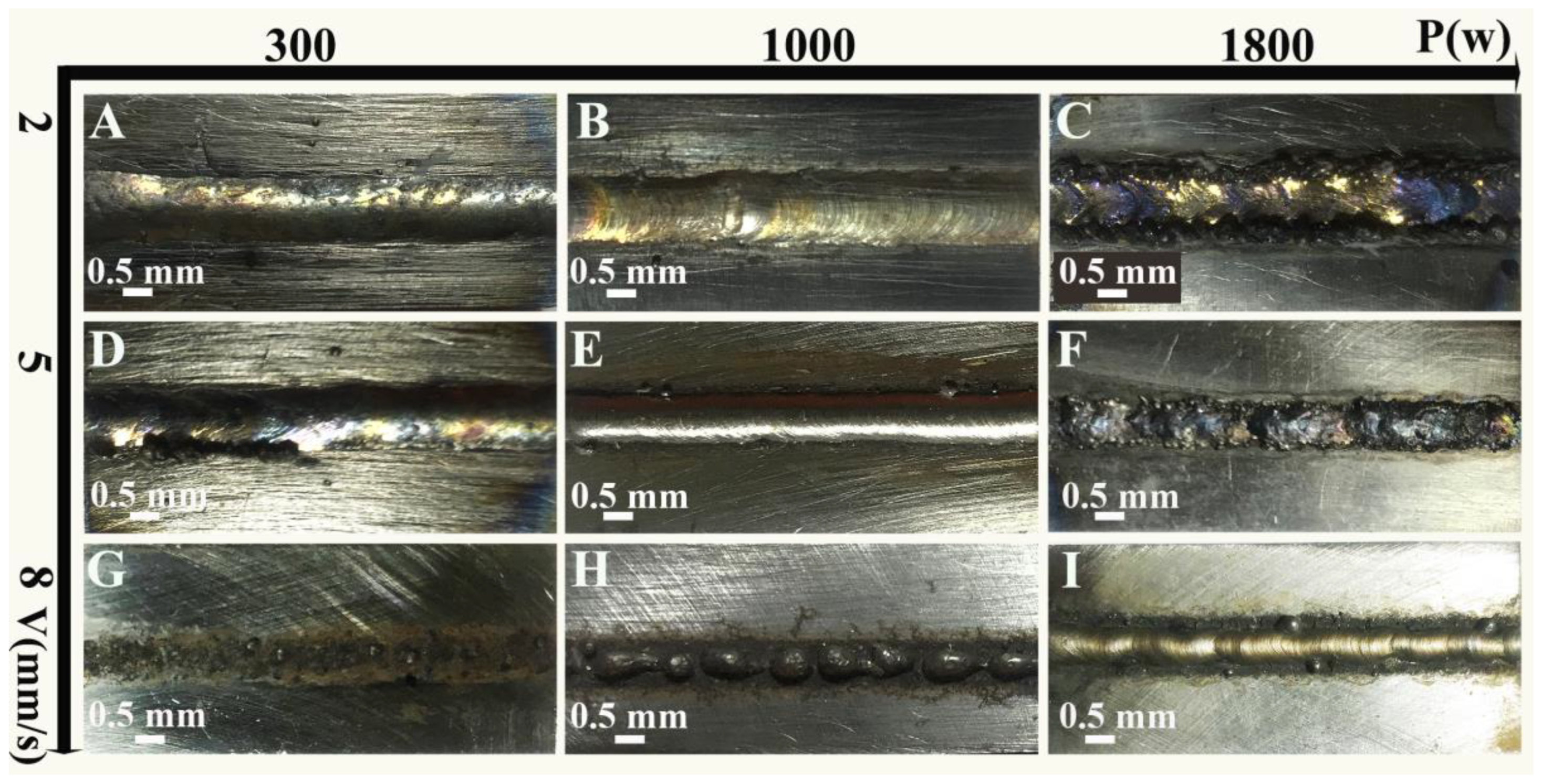 Coatings 13 01744 g002