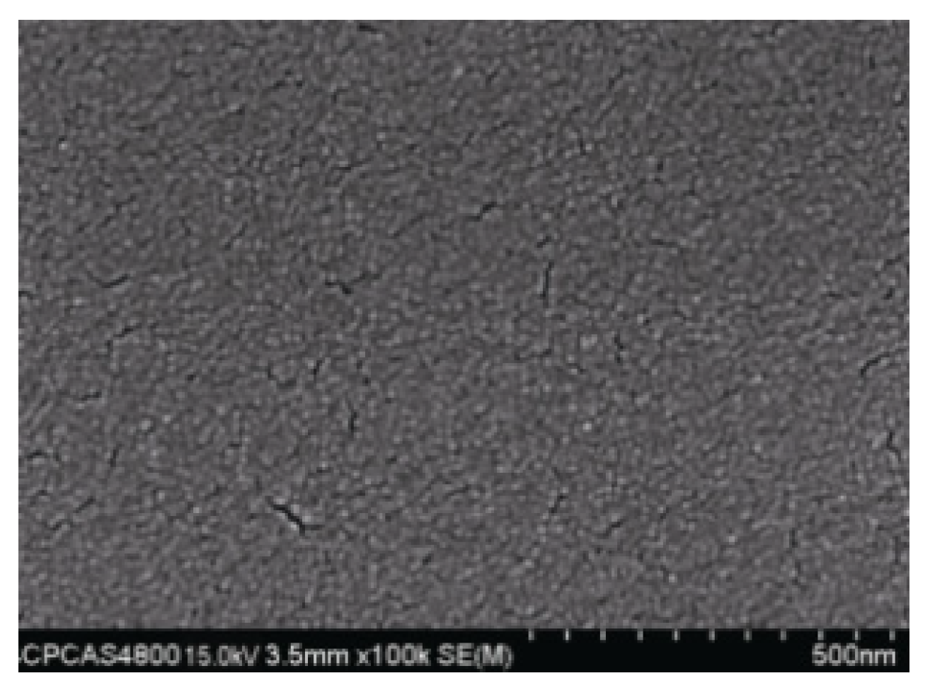 Coatings 13 01751 g006