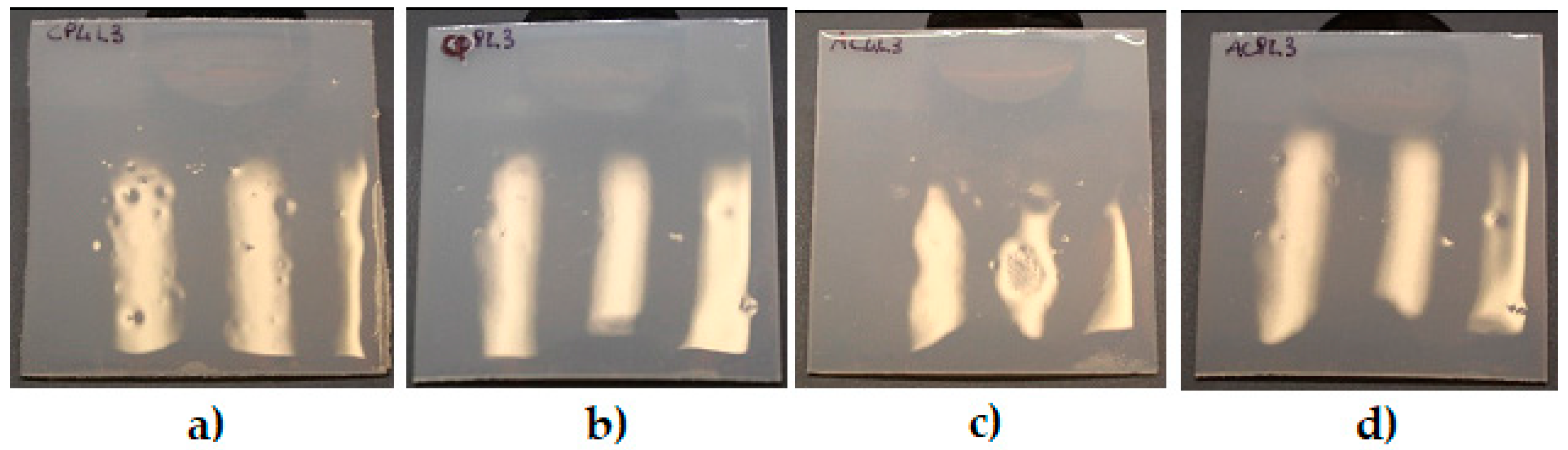 Coatings 13 01755 g004