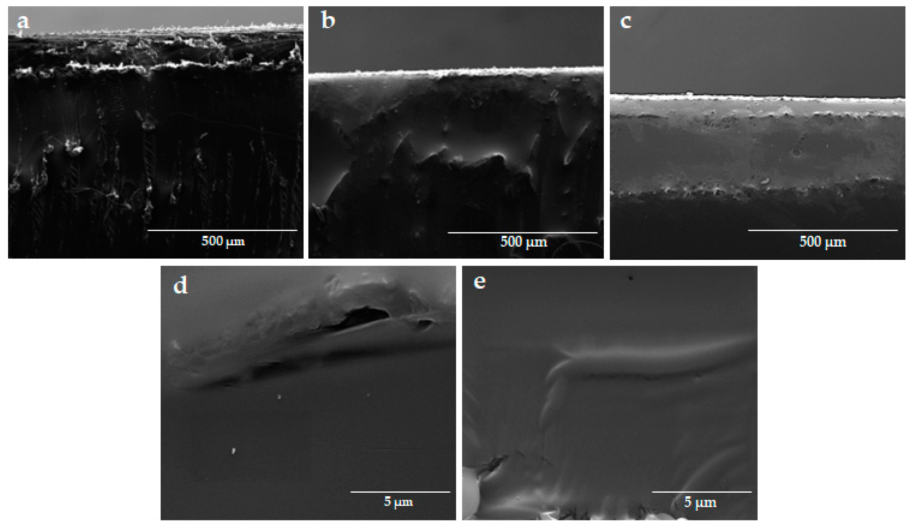 Coatings 13 01755 g005
