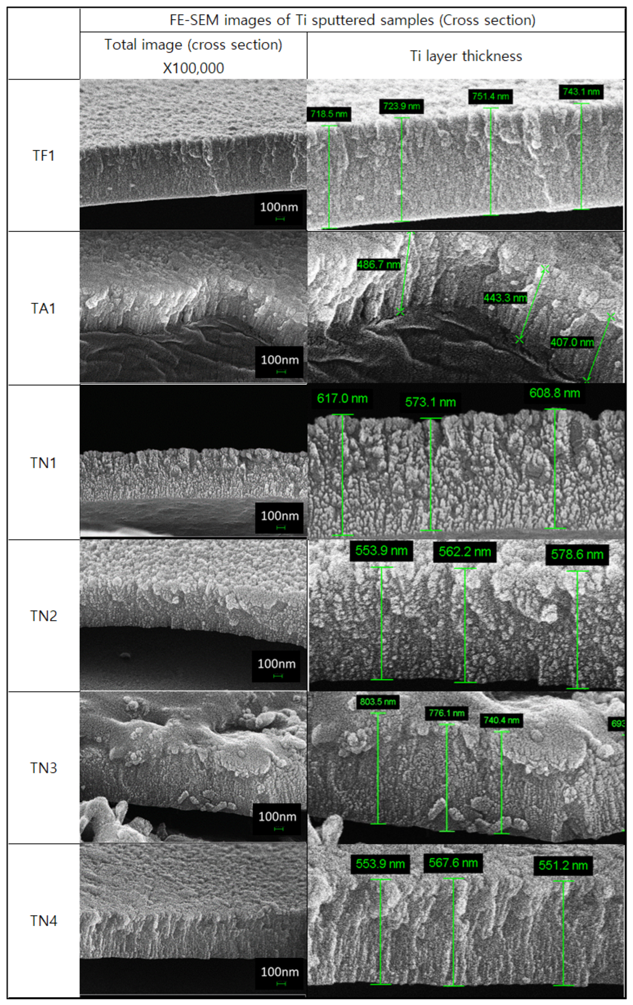 Coatings 13 01756 g002