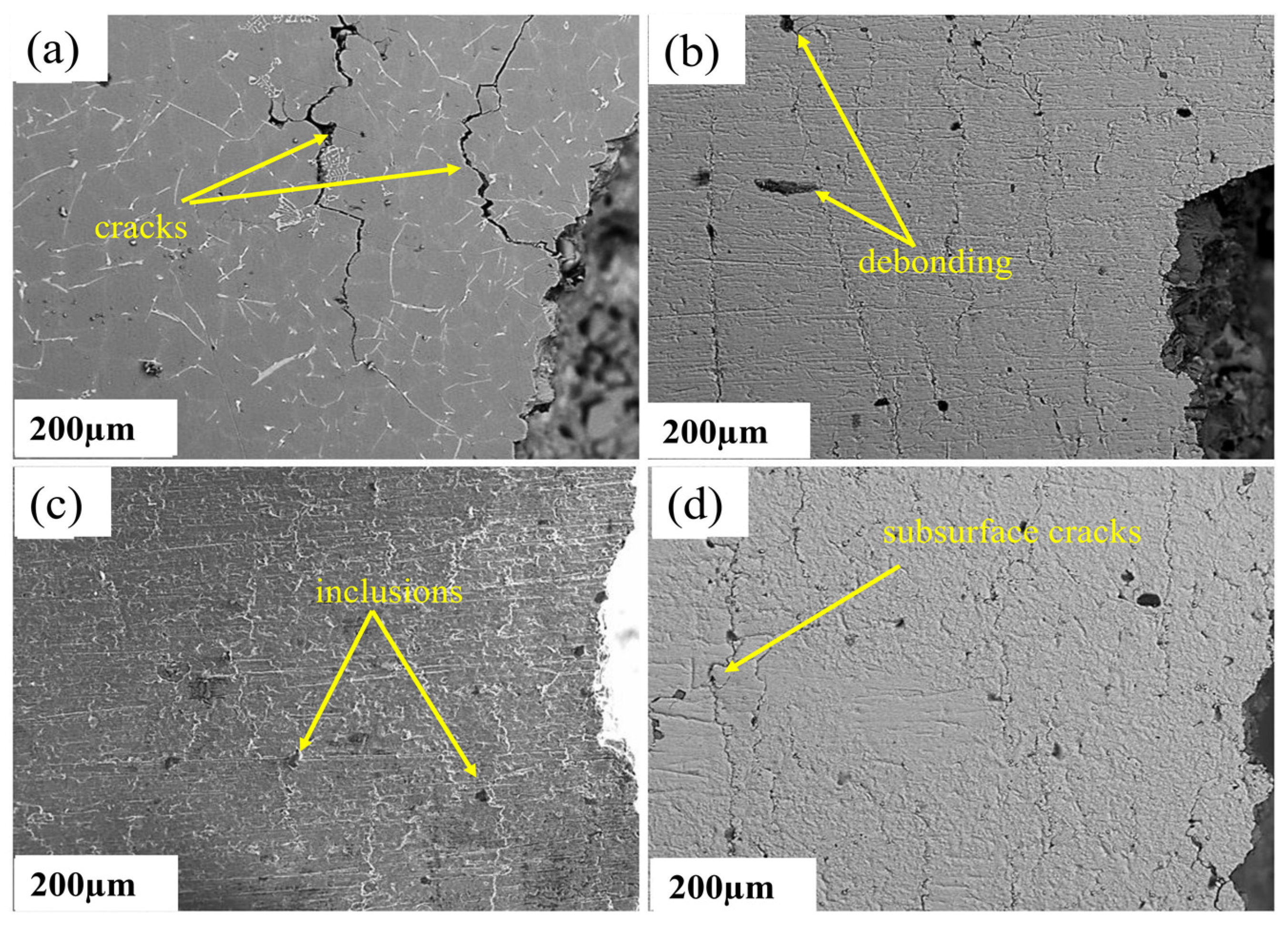 Coatings 13 01764 g003