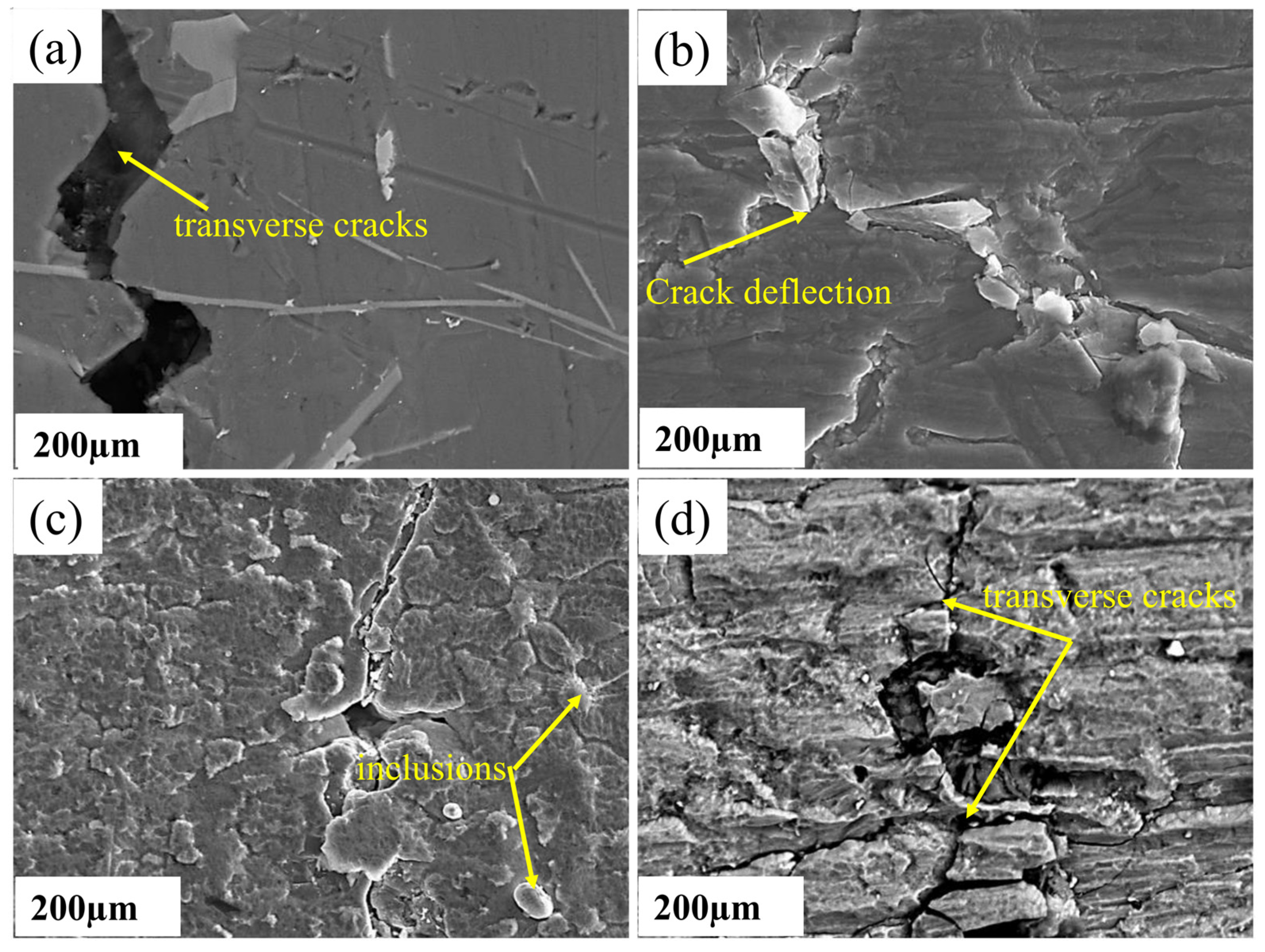 Coatings 13 01764 g004