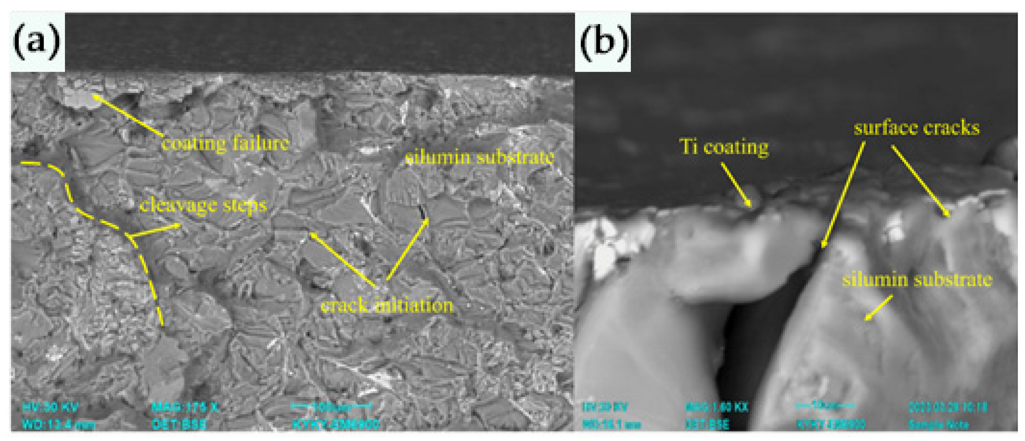 Coatings 13 01764 g005