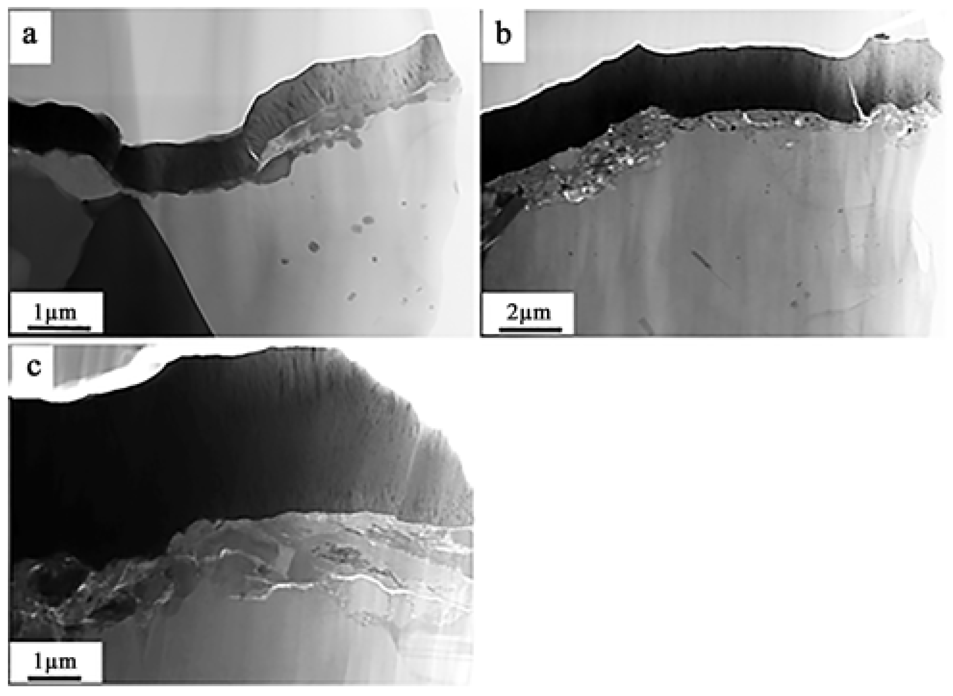 Coatings 13 01764 g007