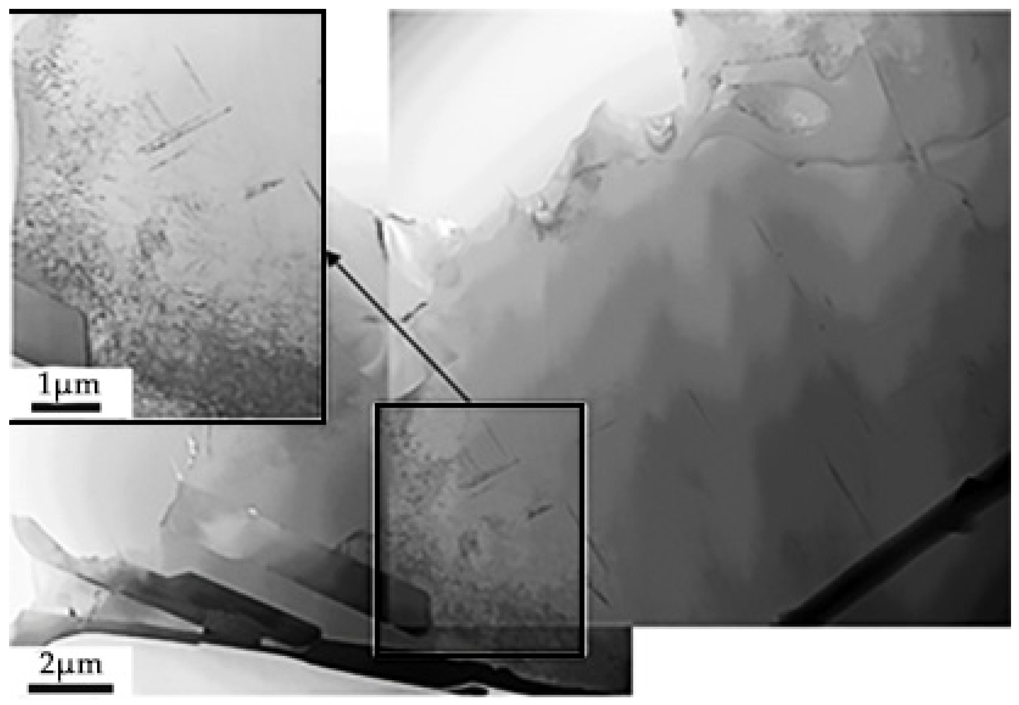 Coatings 13 01764 g010