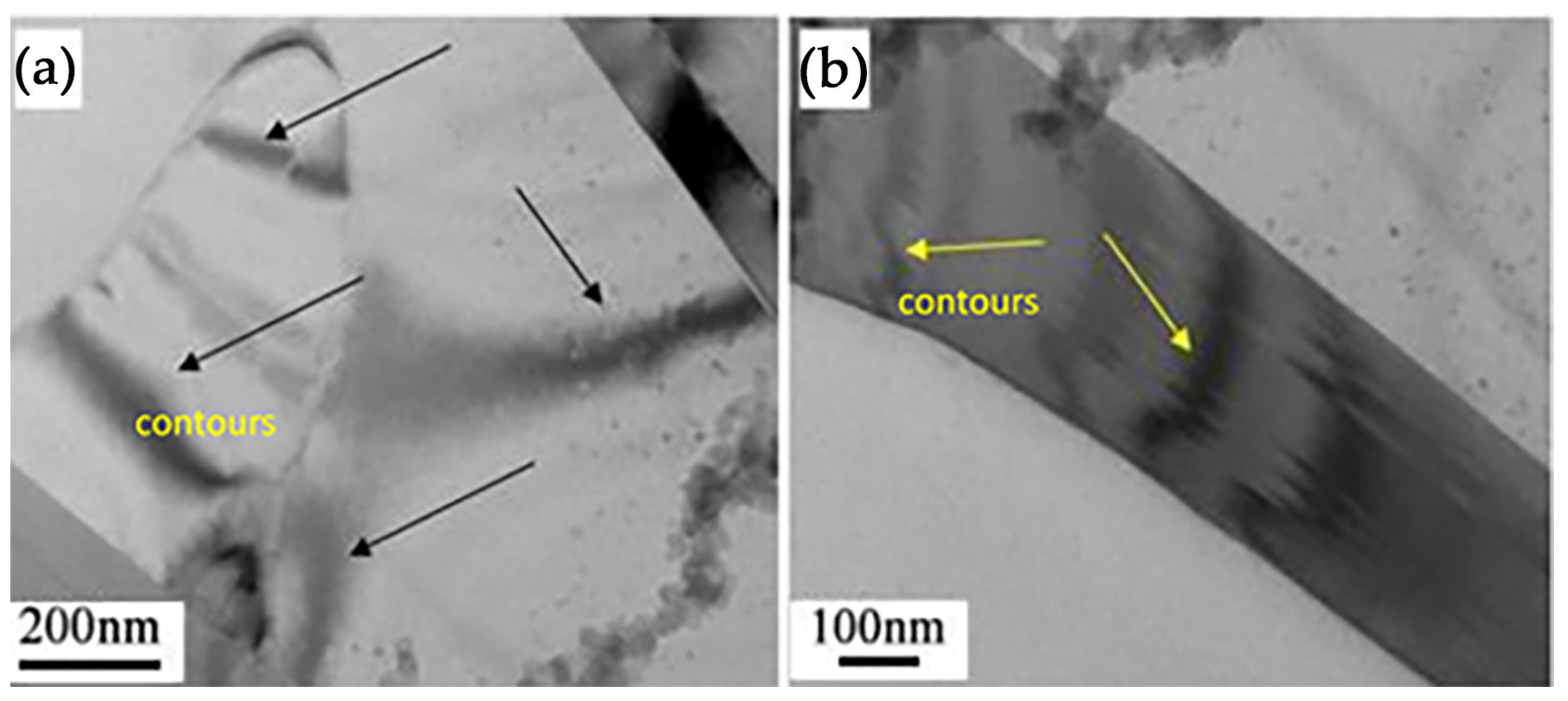Coatings 13 01764 g011