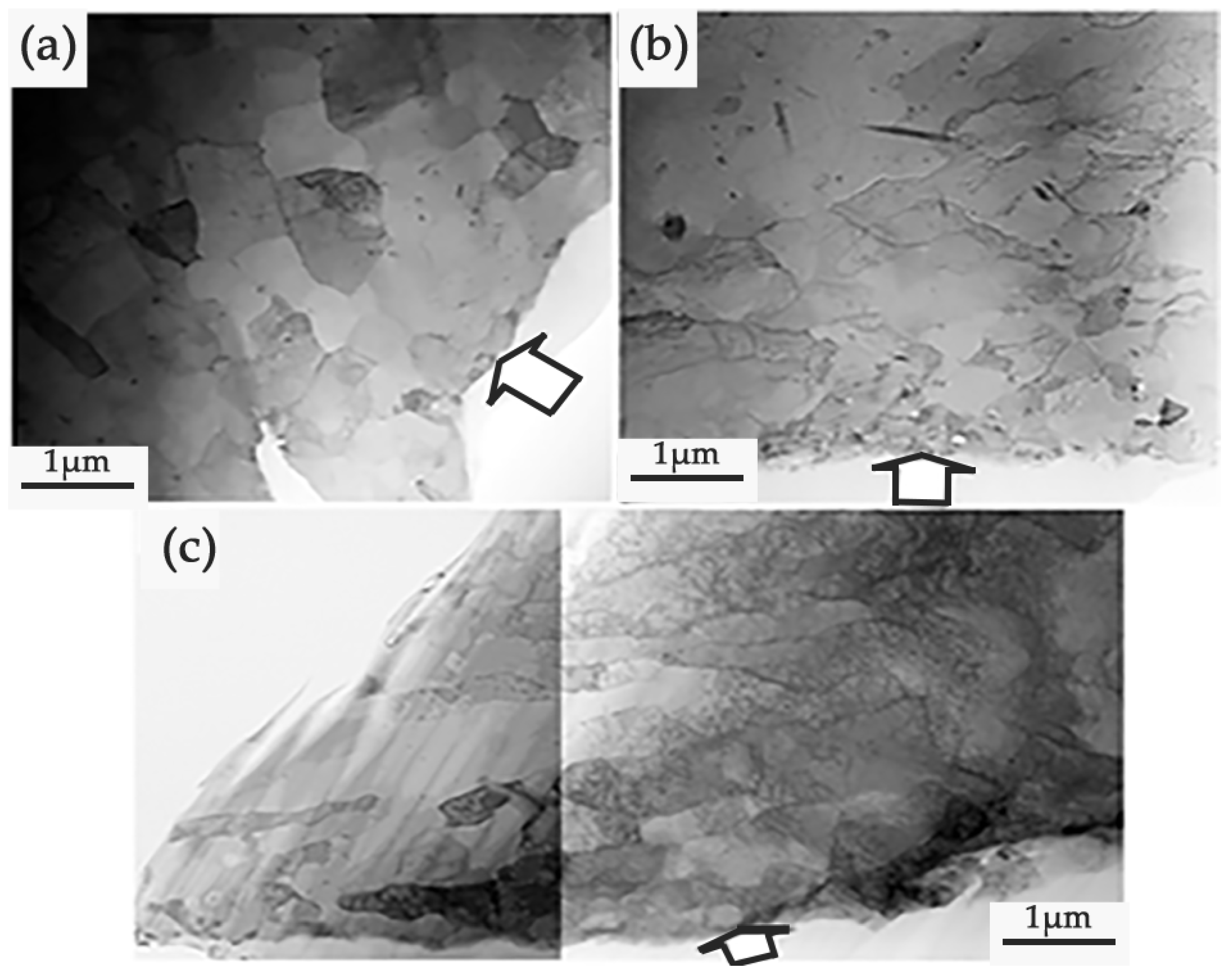 Coatings 13 01764 g012