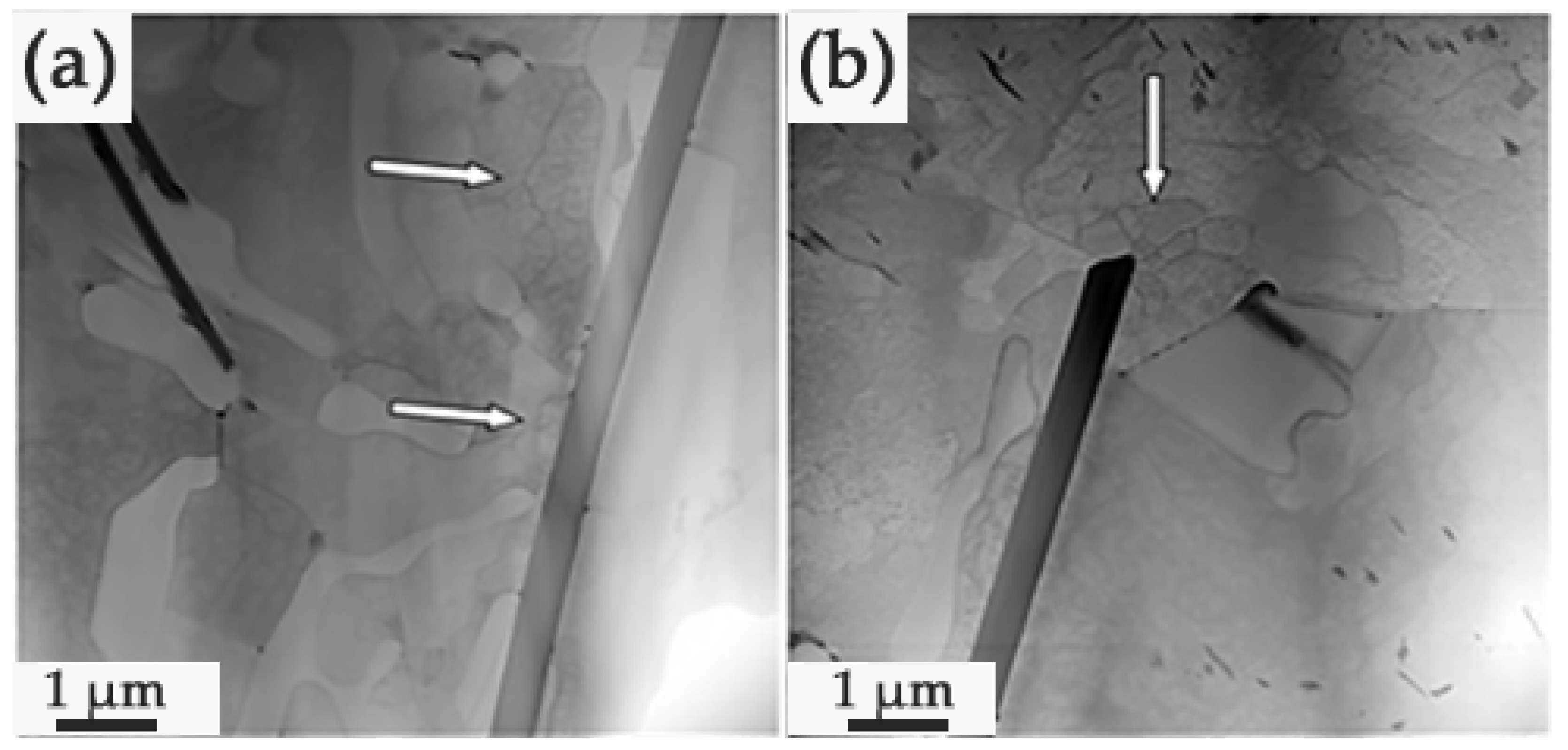 Coatings 13 01764 g013