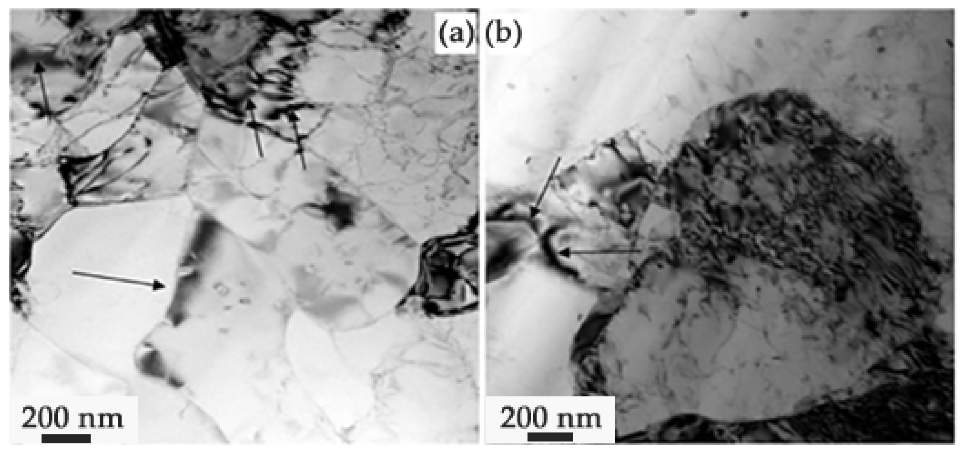 Coatings 13 01764 g015