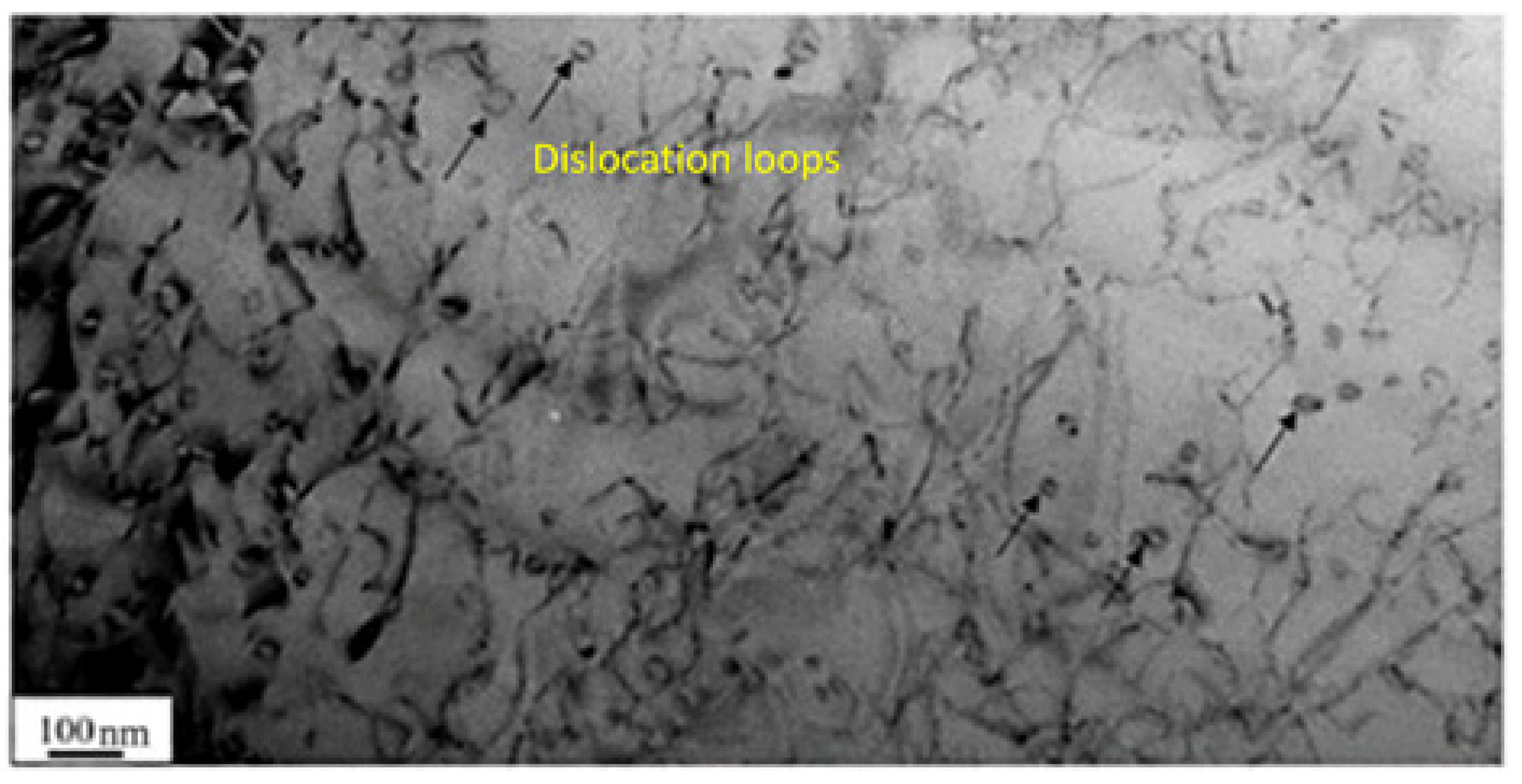 Coatings 13 01764 g016