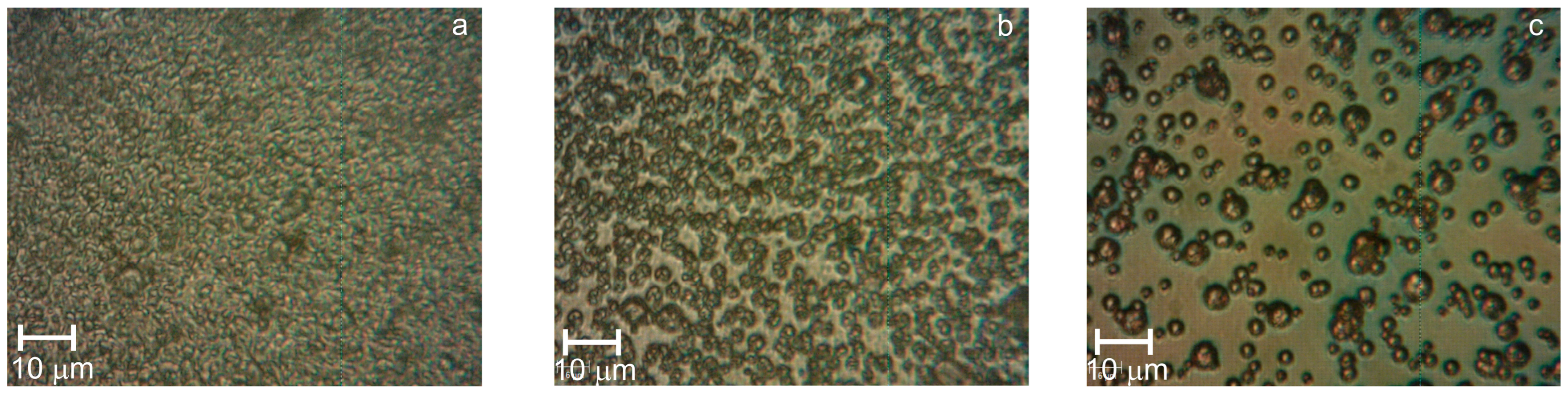 Coatings 13 01765 g002