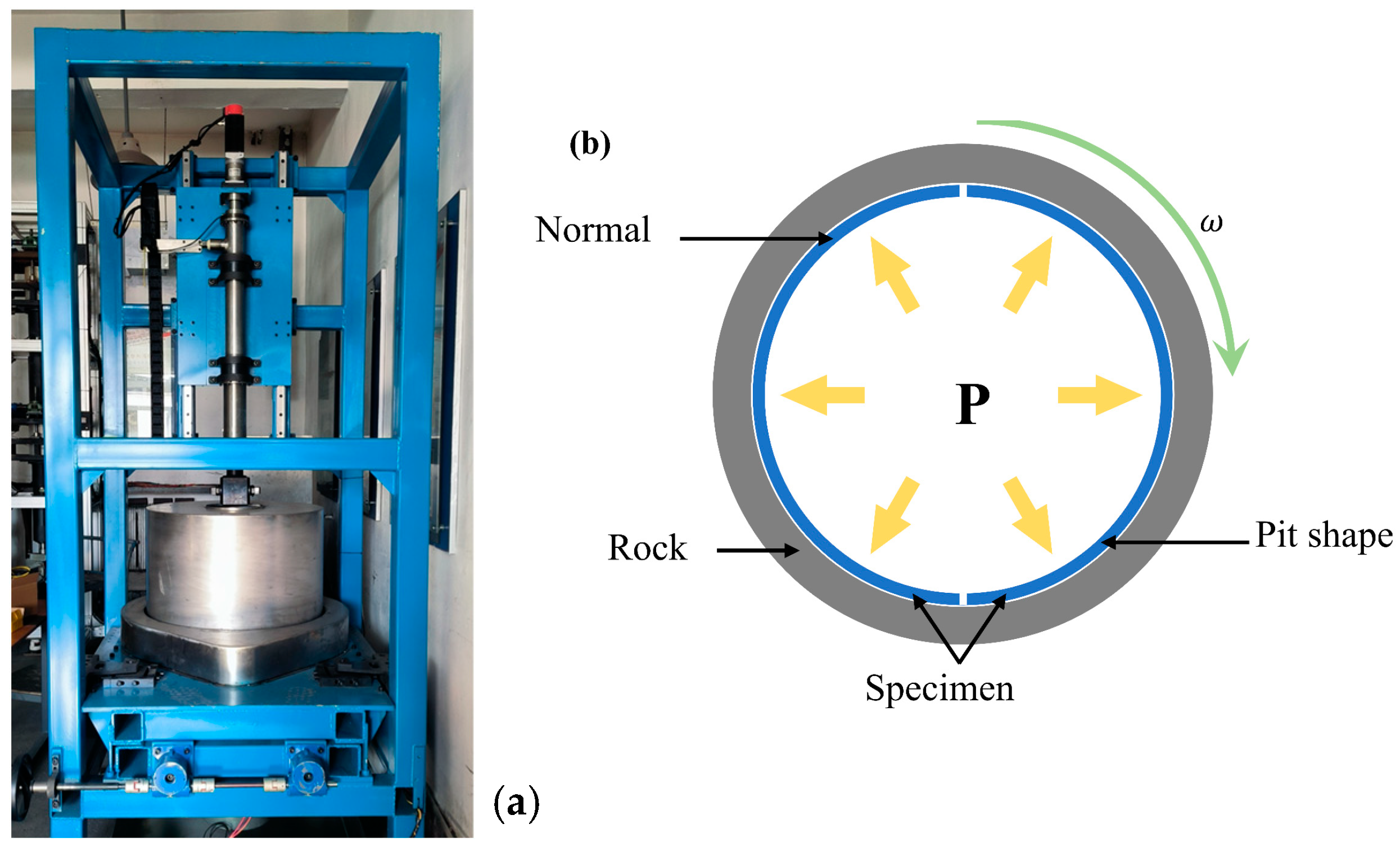 Coatings 13 01768 g009