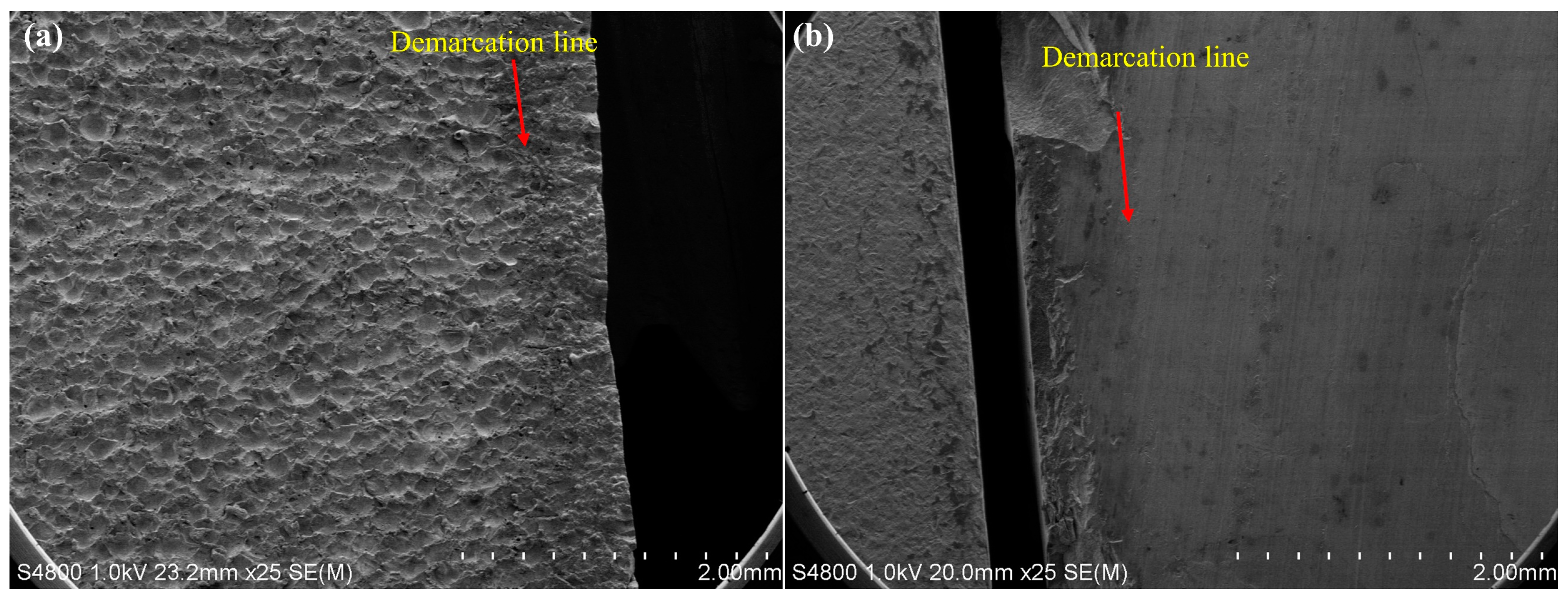 Coatings 13 01768 g013