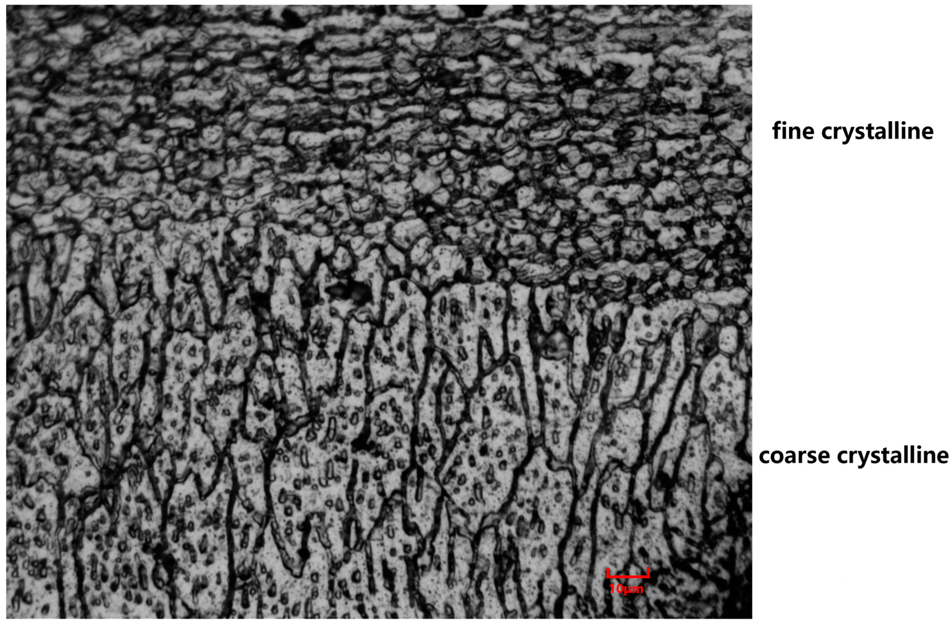Coatings 13 01768 g014
