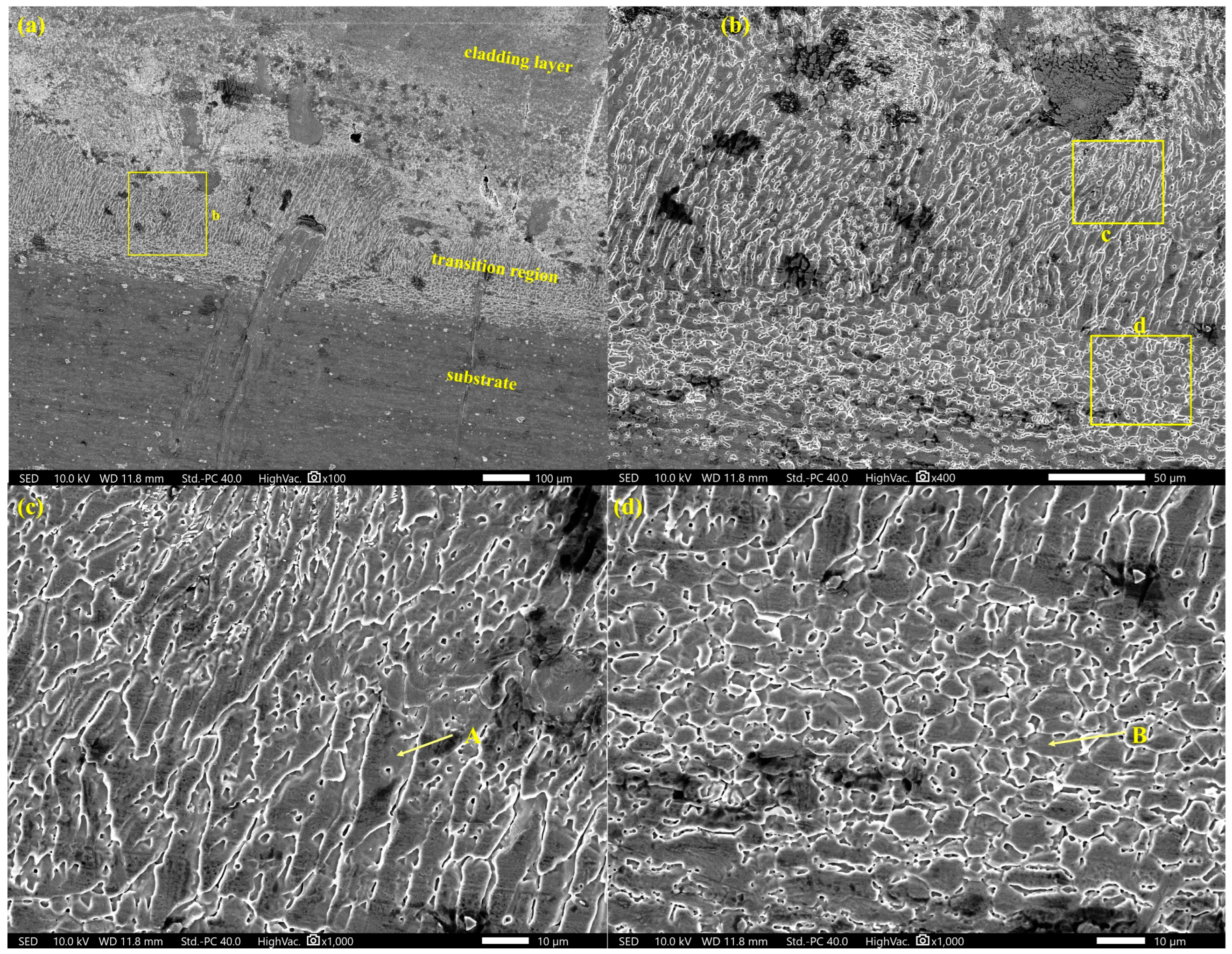 Coatings 13 01768 g015