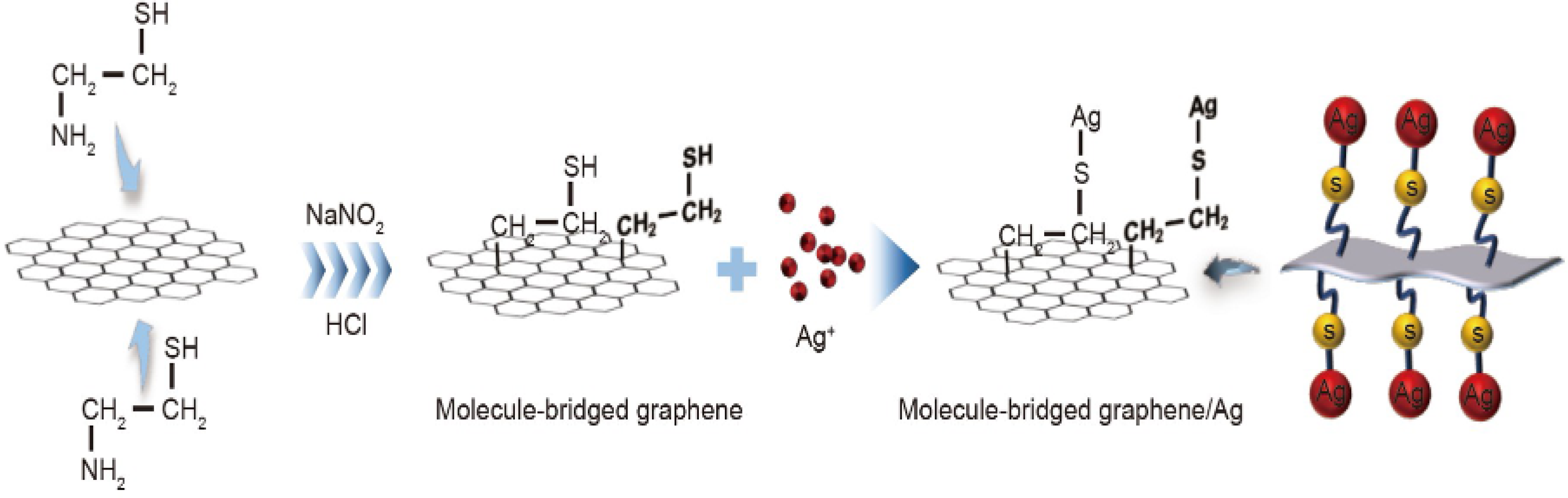 Coatings 13 01769 g008