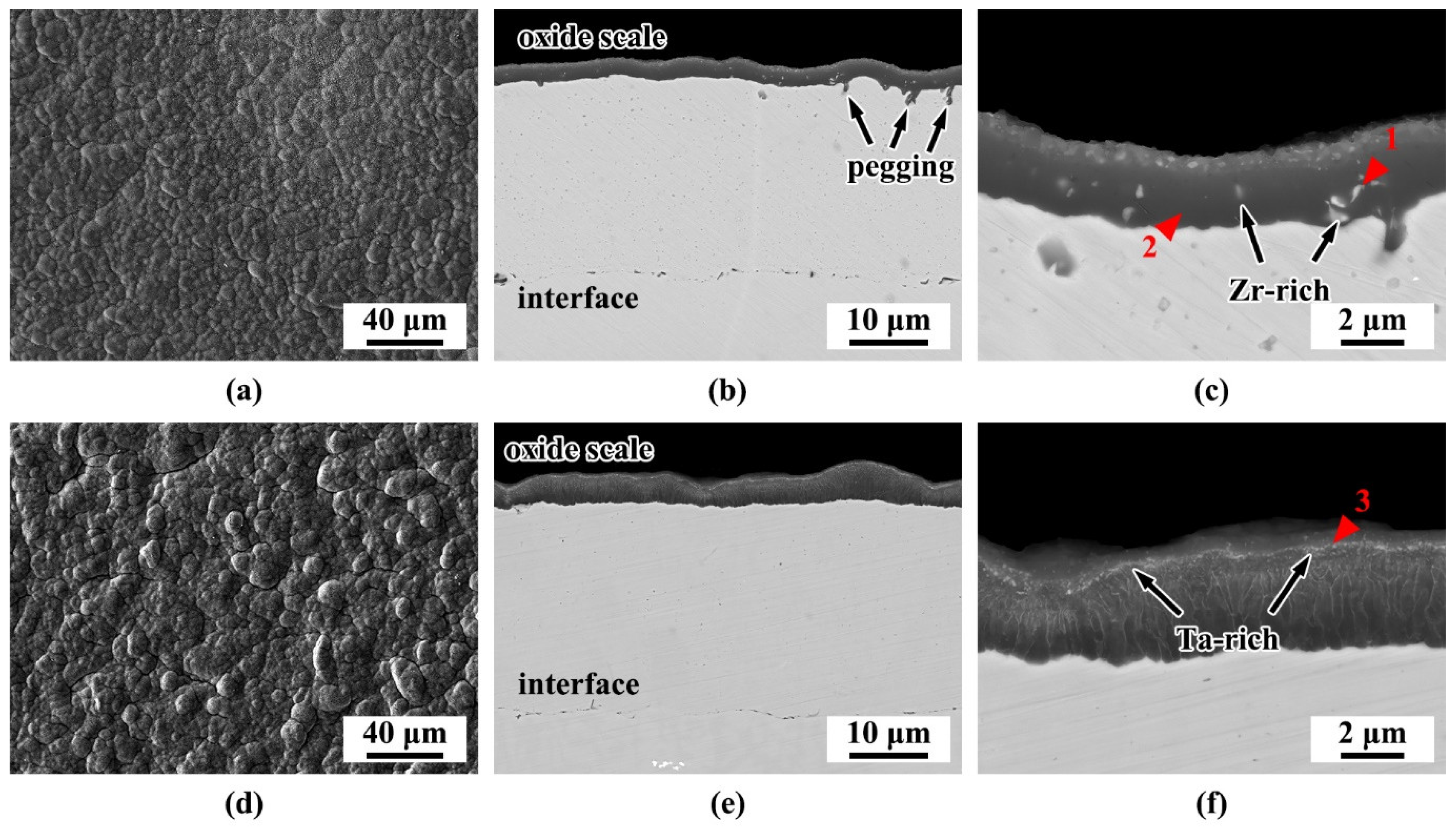 Coatings 13 01770 g004