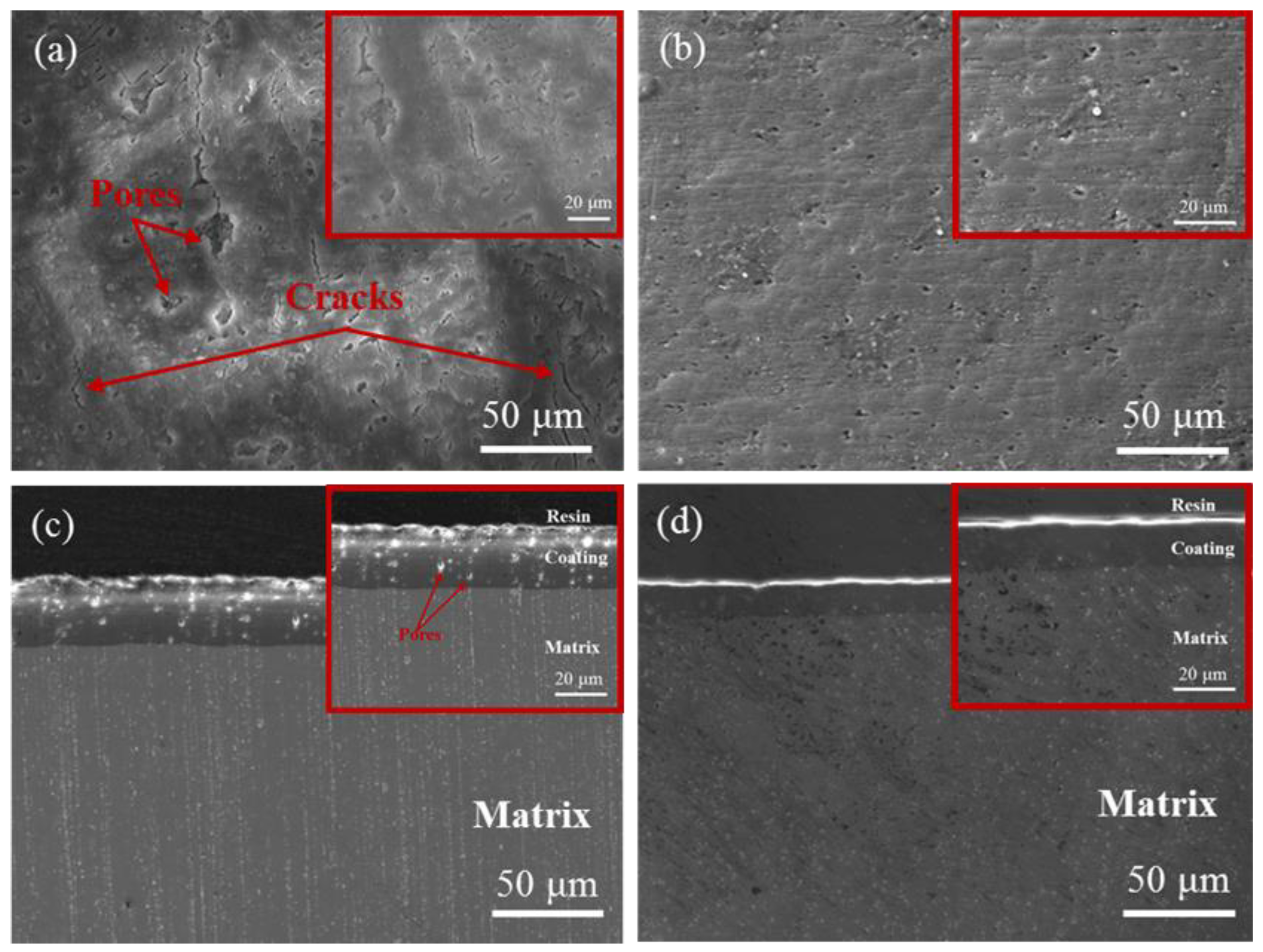 Coatings 13 01780 g003