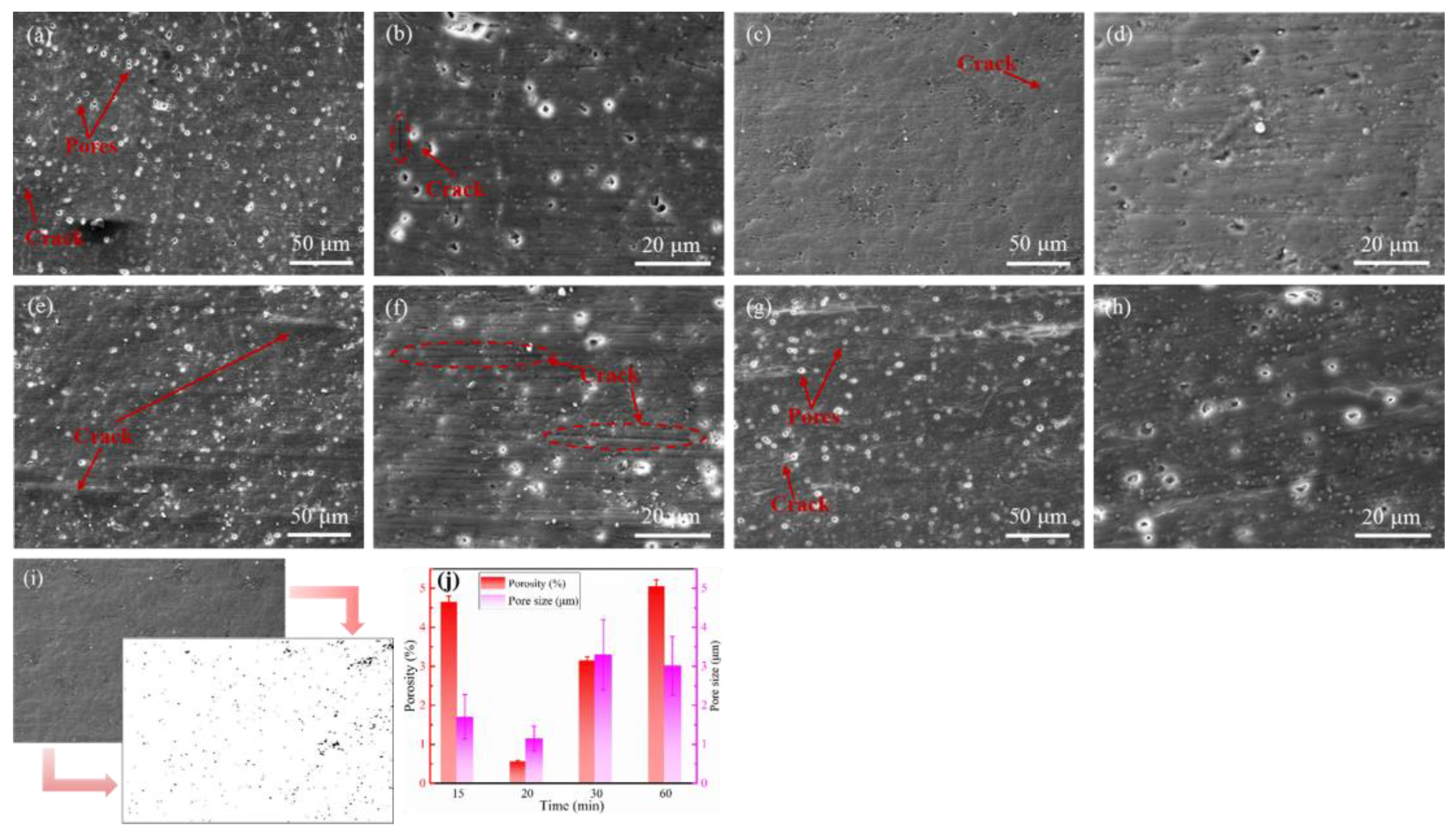 Coatings 13 01780 g005